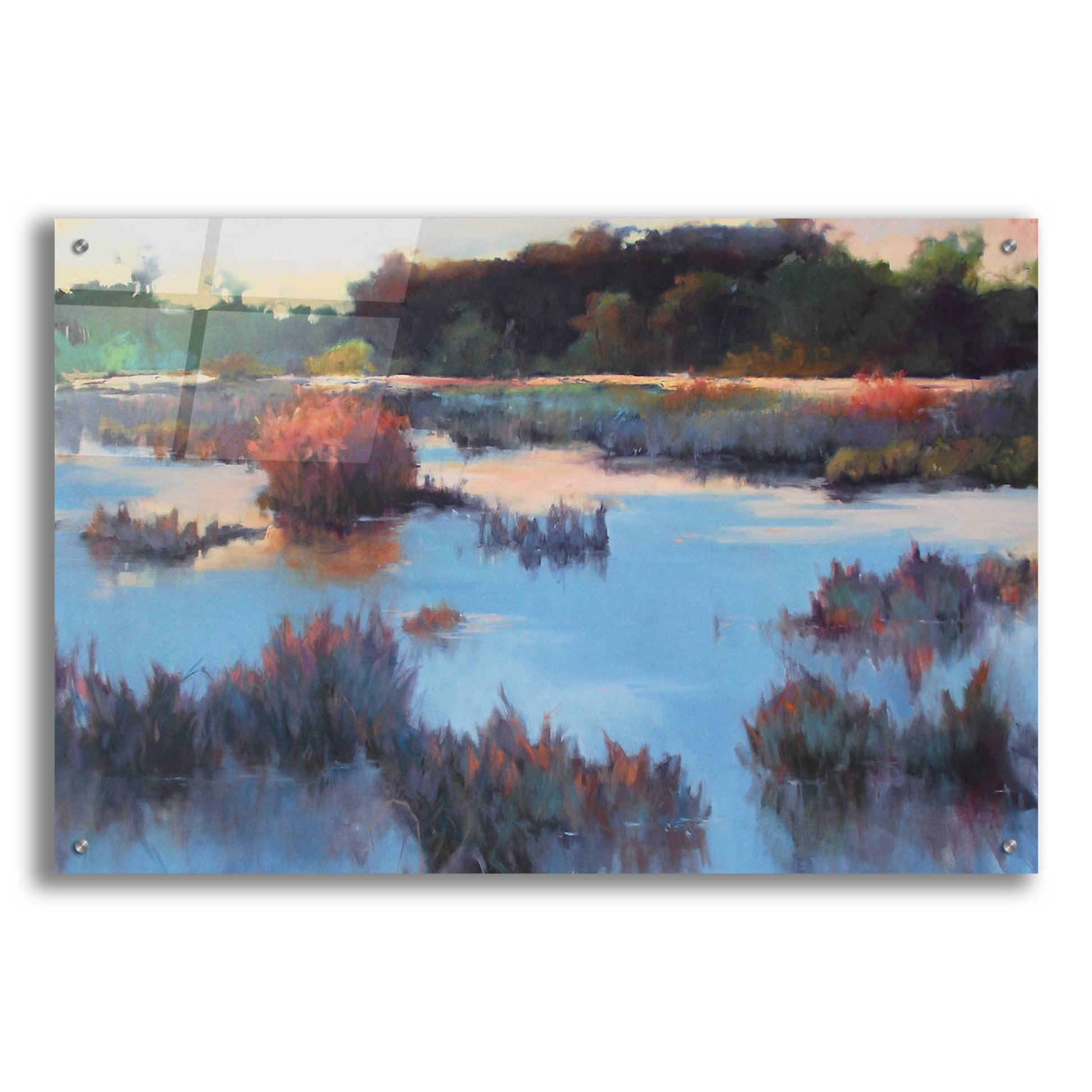 Epic Art 'Ace Basin Creek' by Madeline Dukes, Acrylic Glass Wall Art,36x24