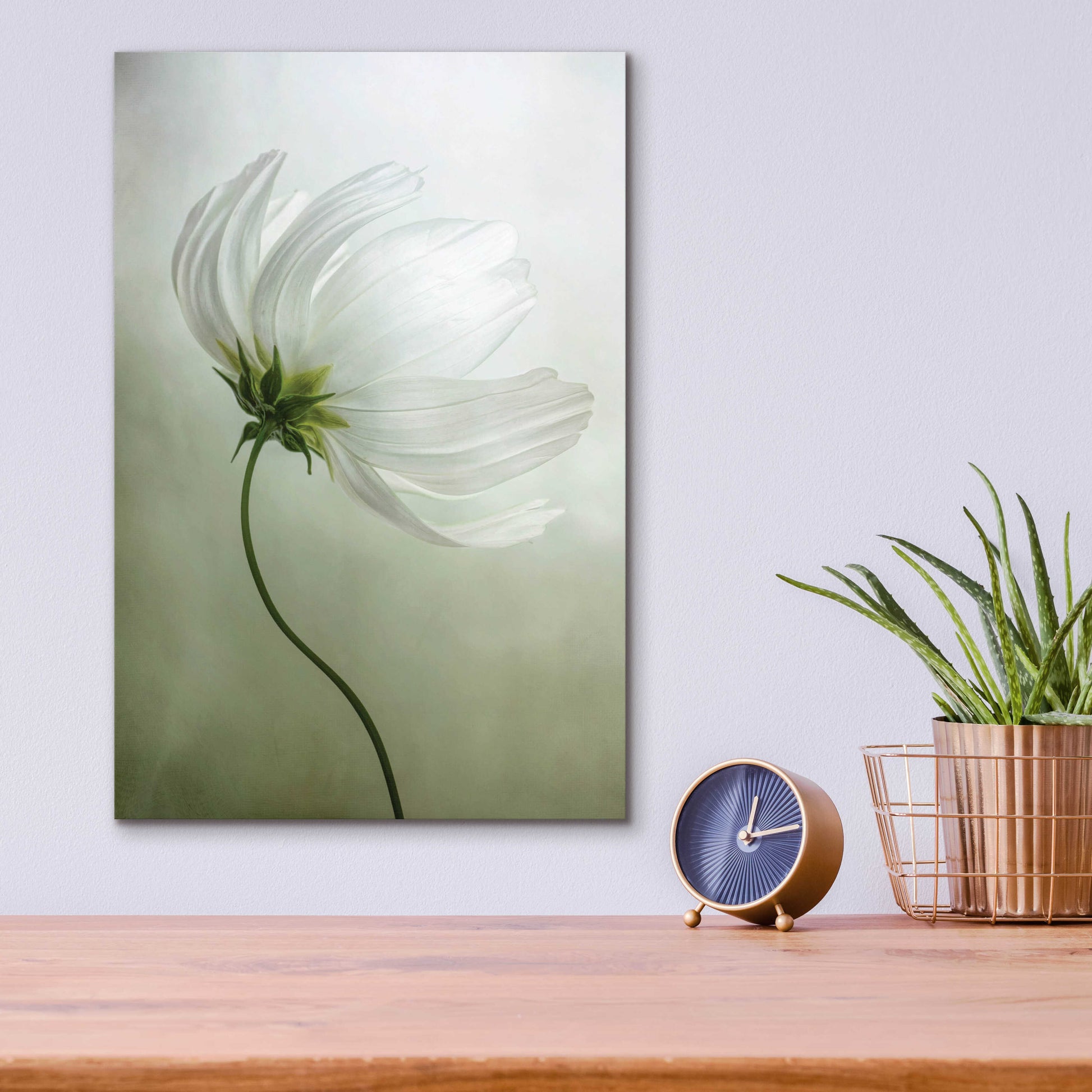 Epic Art 'Cosmos Charisma' by Mandy Disher, Acrylic Glass Wall Art,12x16