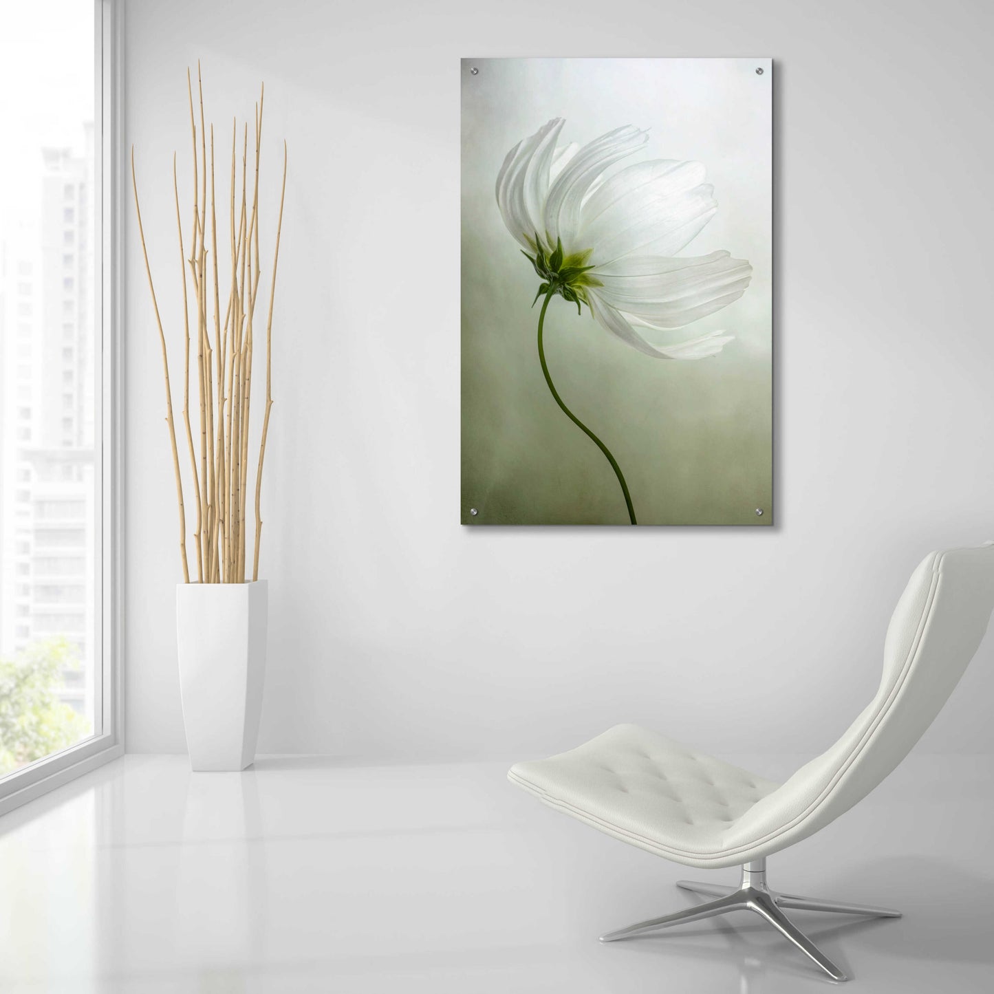 Epic Art 'Cosmos Charisma' by Mandy Disher, Acrylic Glass Wall Art,24x36