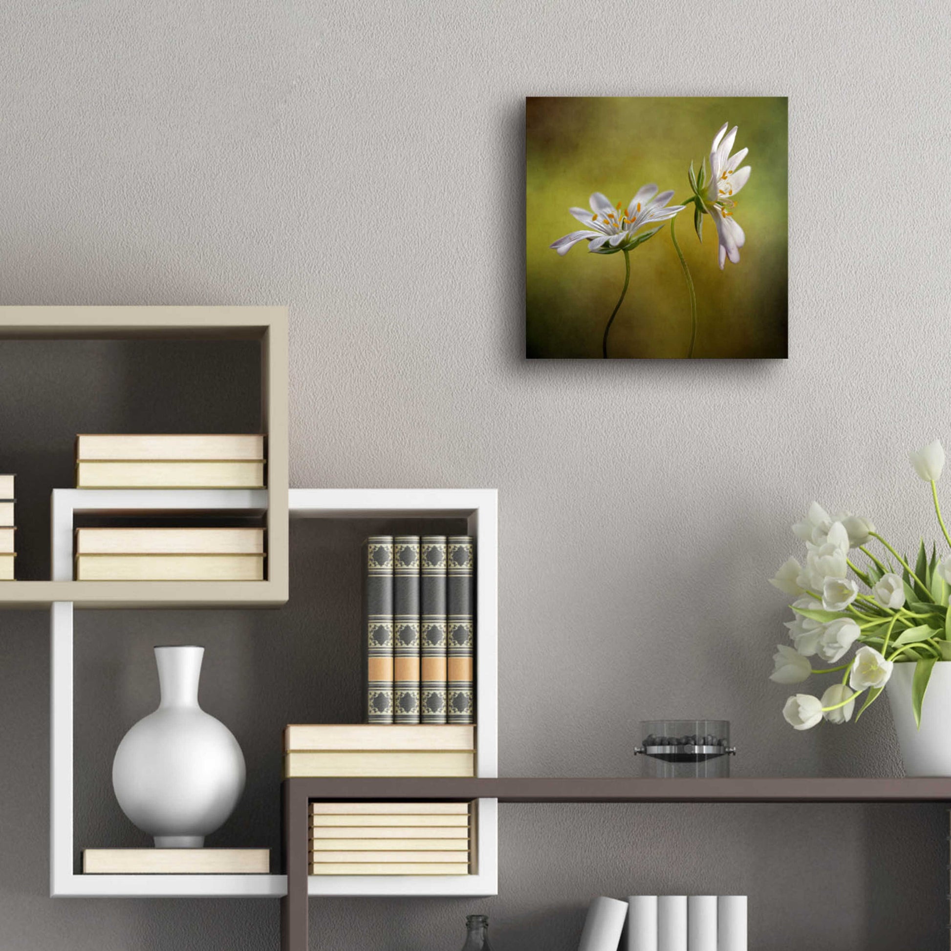 Epic Art 'Echo' by Mandy Disher, Acrylic Glass Wall Art,12x12