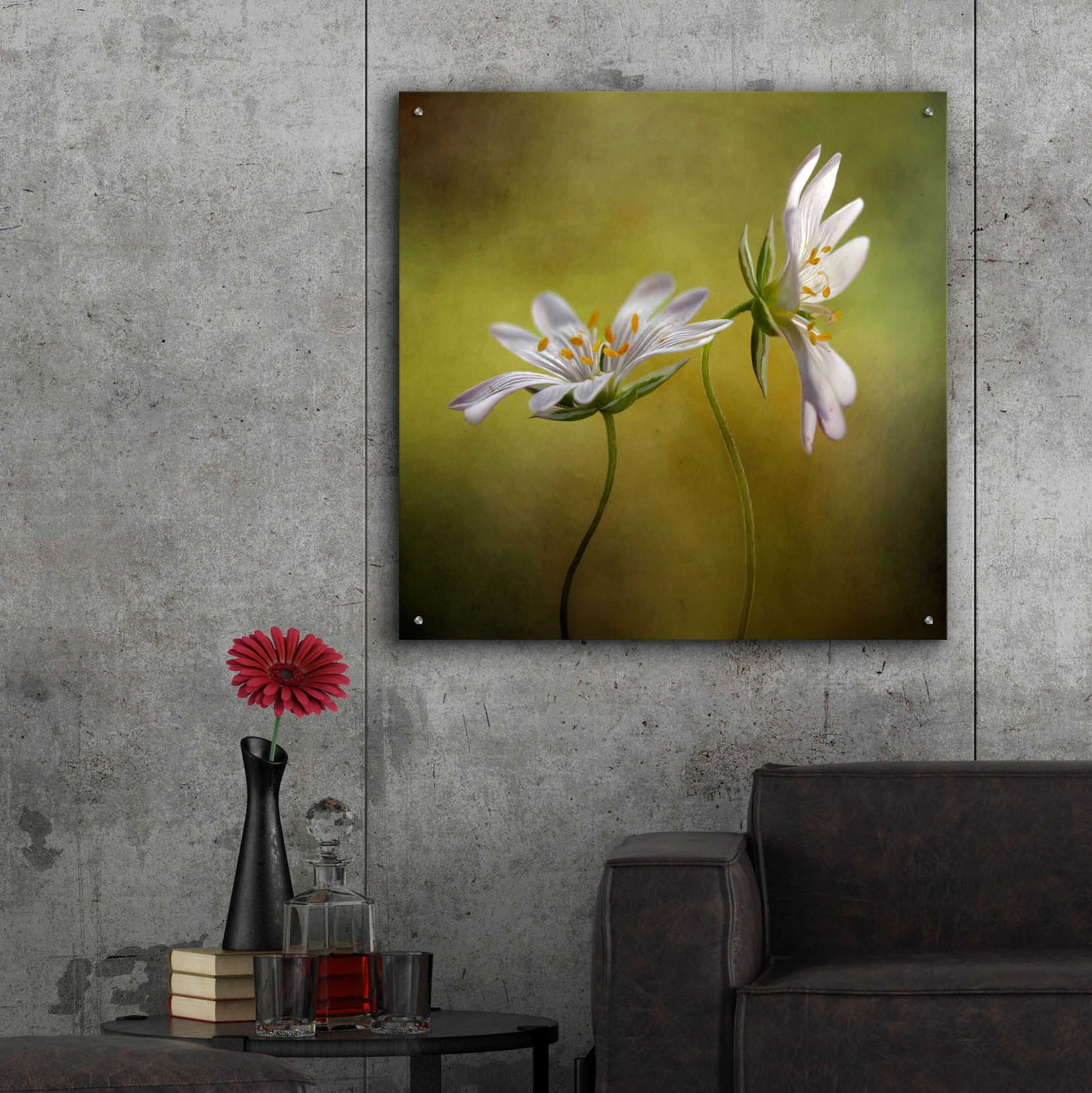 Epic Art 'Echo' by Mandy Disher, Acrylic Glass Wall Art,36x36