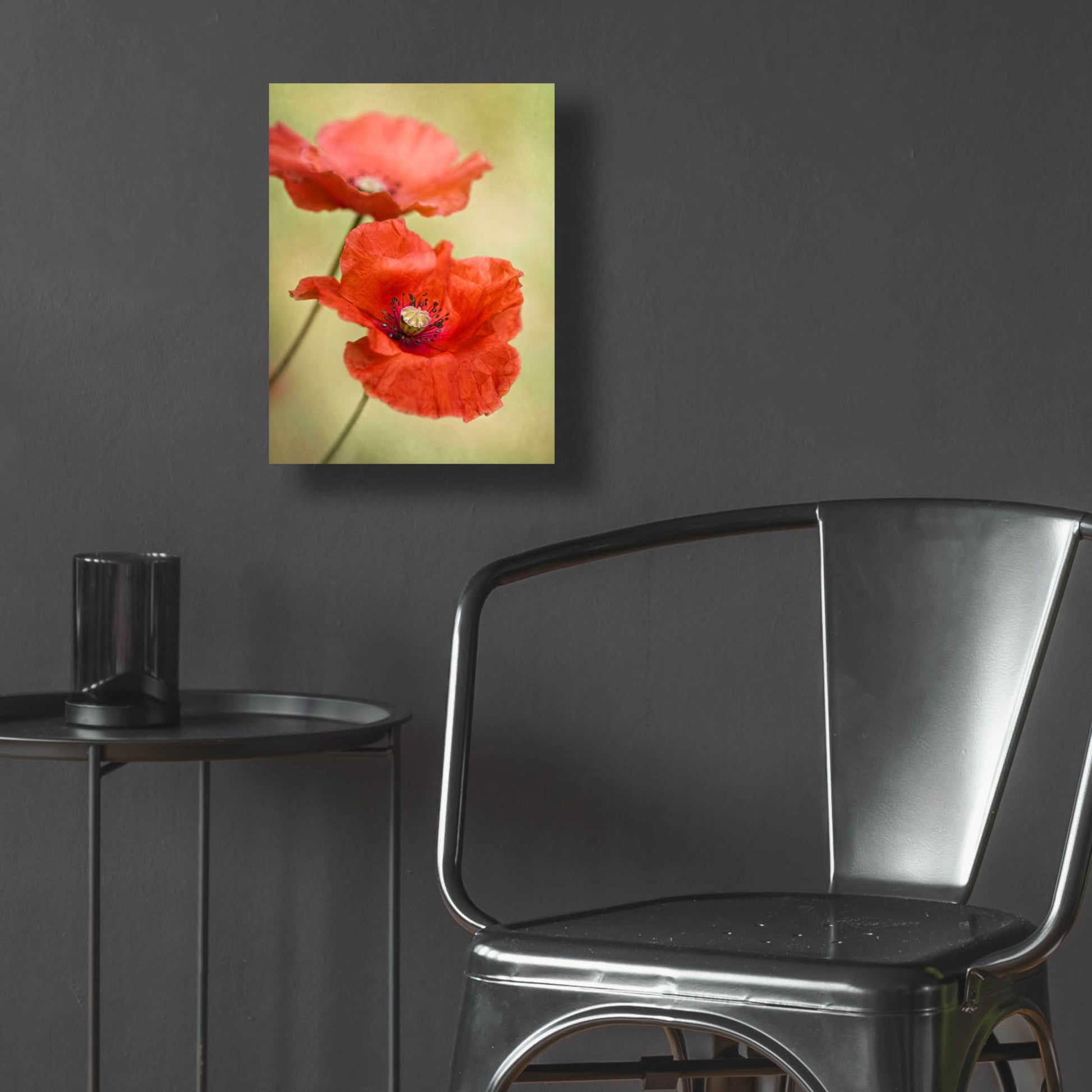 Epic Art 'Papaver Passion' by Mandy Disher, Acrylic Glass Wall Art,12x16