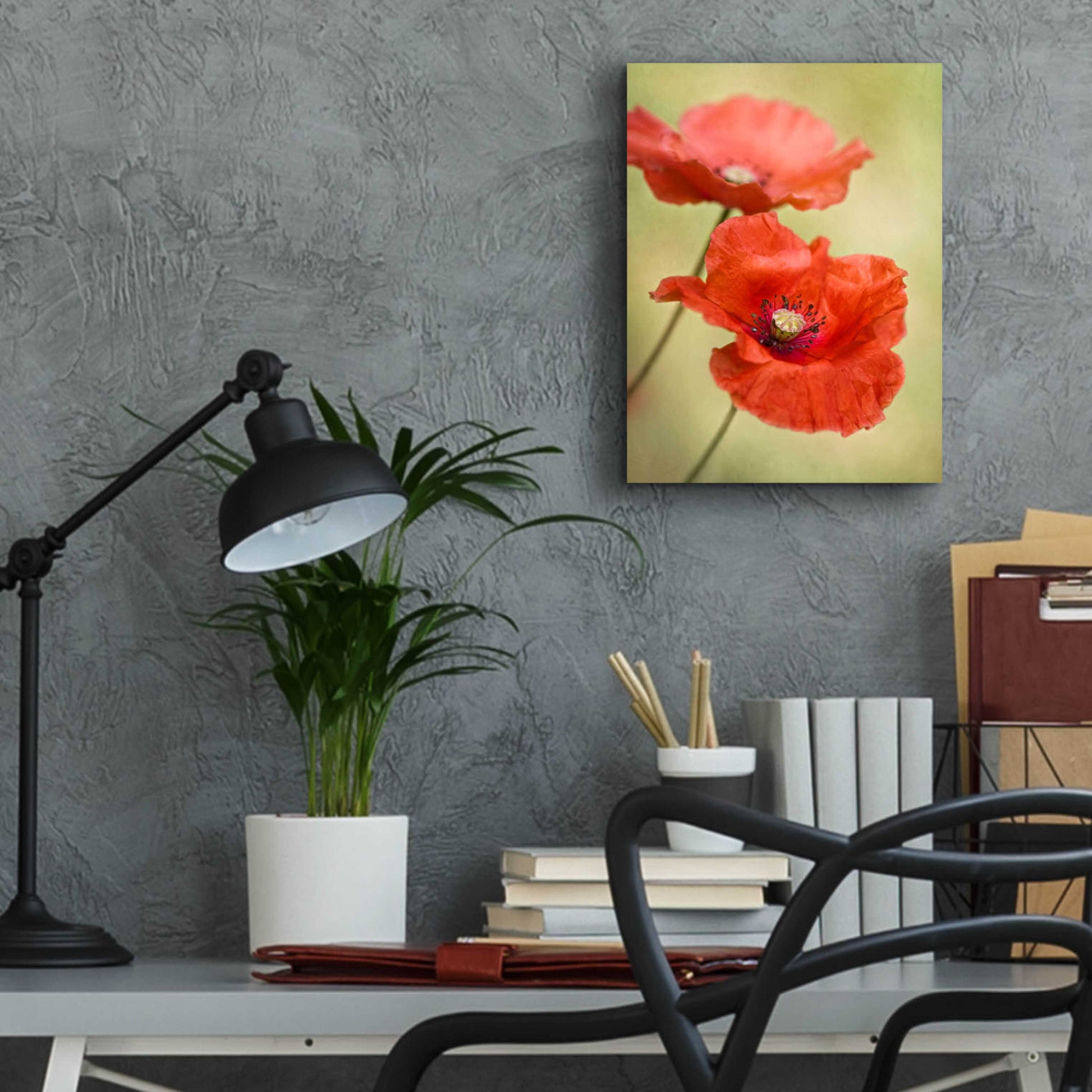 Epic Art 'Papaver Passion' by Mandy Disher, Acrylic Glass Wall Art,12x16