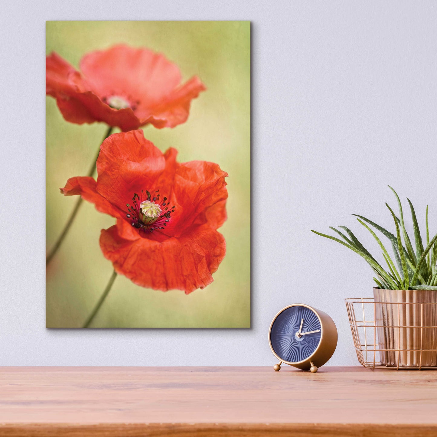 Epic Art 'Papaver Passion' by Mandy Disher, Acrylic Glass Wall Art,12x16