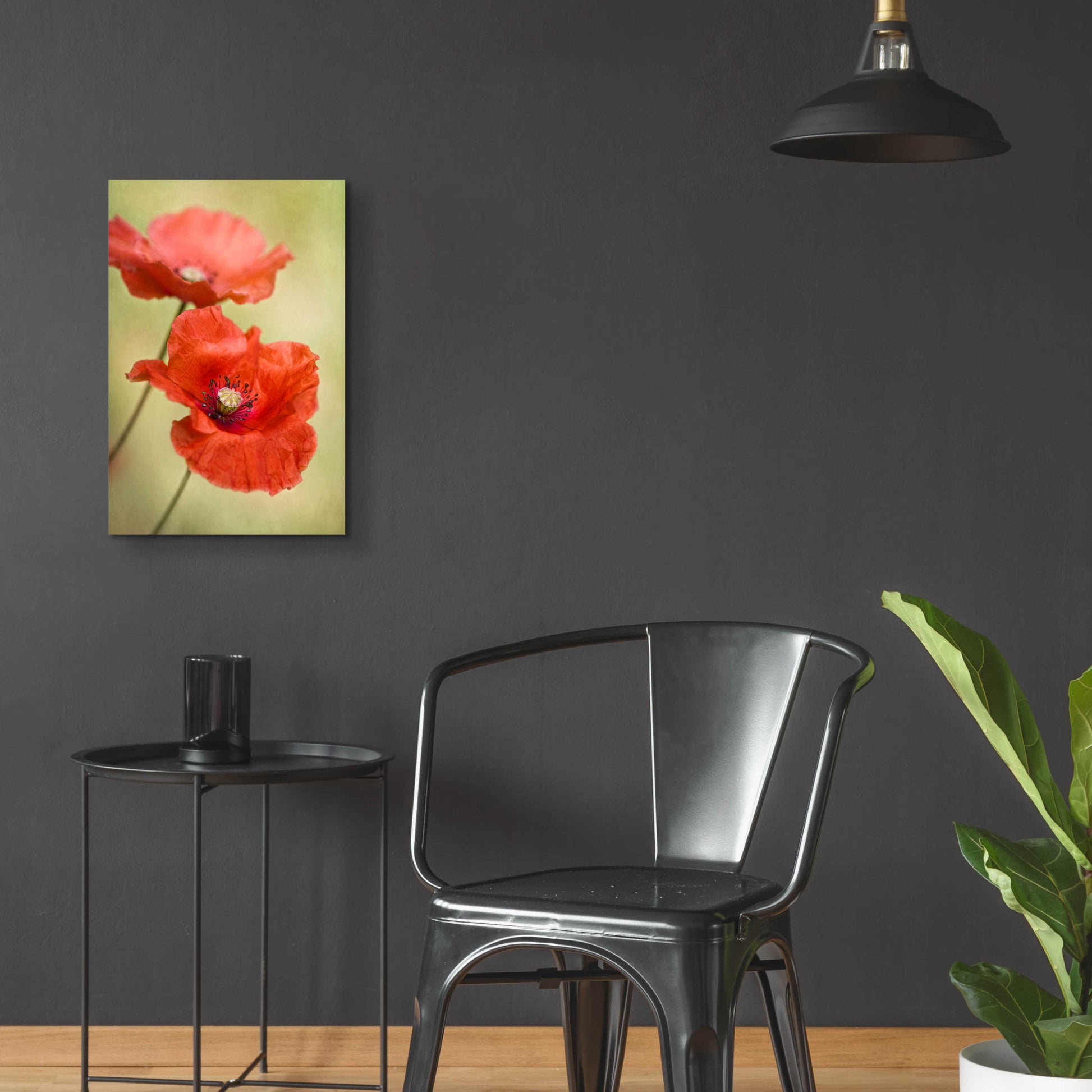 Epic Art 'Papaver Passion' by Mandy Disher, Acrylic Glass Wall Art,16x24