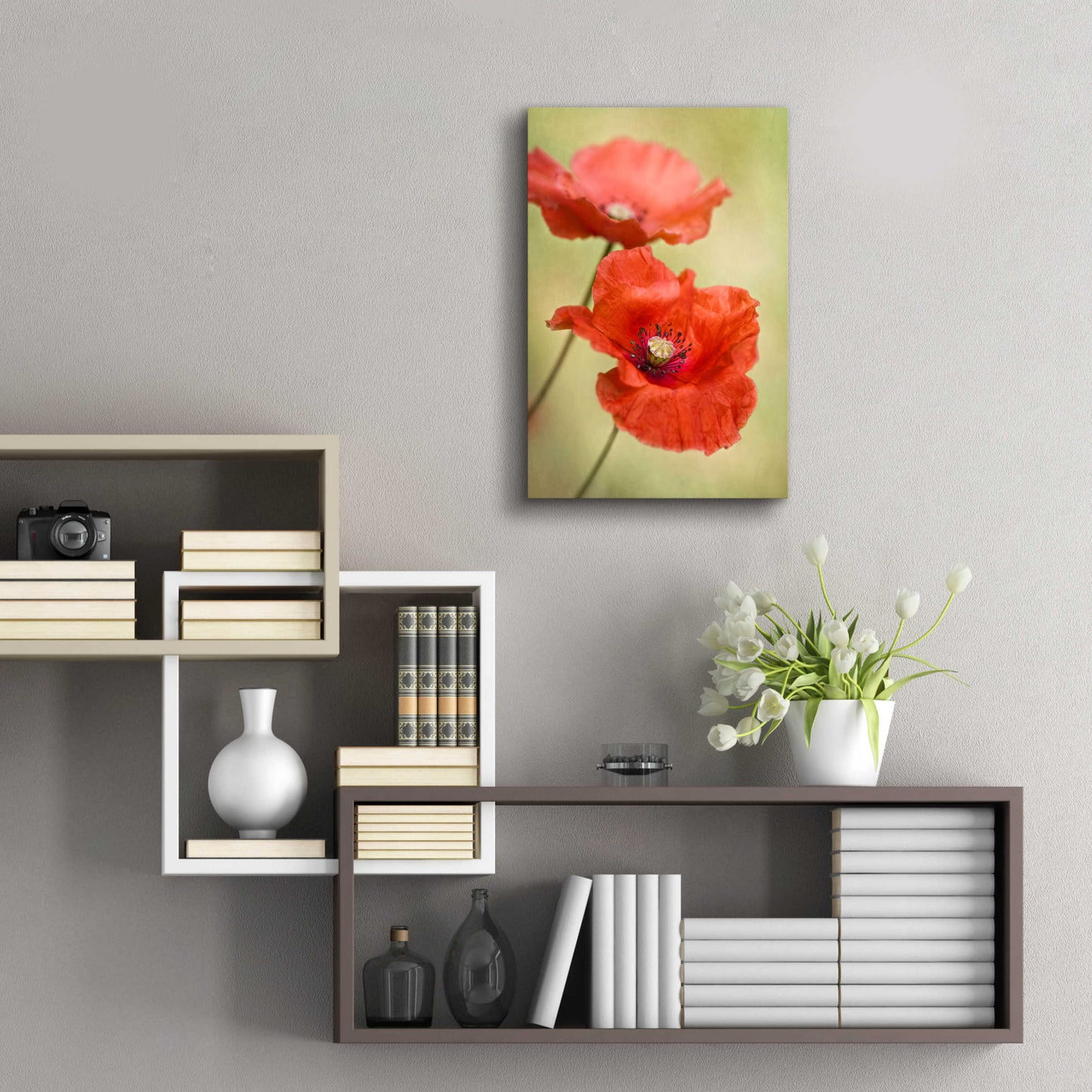 Epic Art 'Papaver Passion' by Mandy Disher, Acrylic Glass Wall Art,16x24