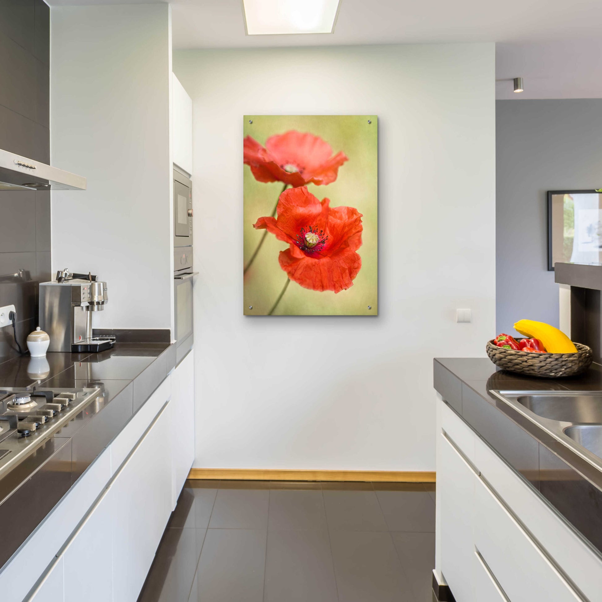 Epic Art 'Papaver Passion' by Mandy Disher, Acrylic Glass Wall Art,24x36