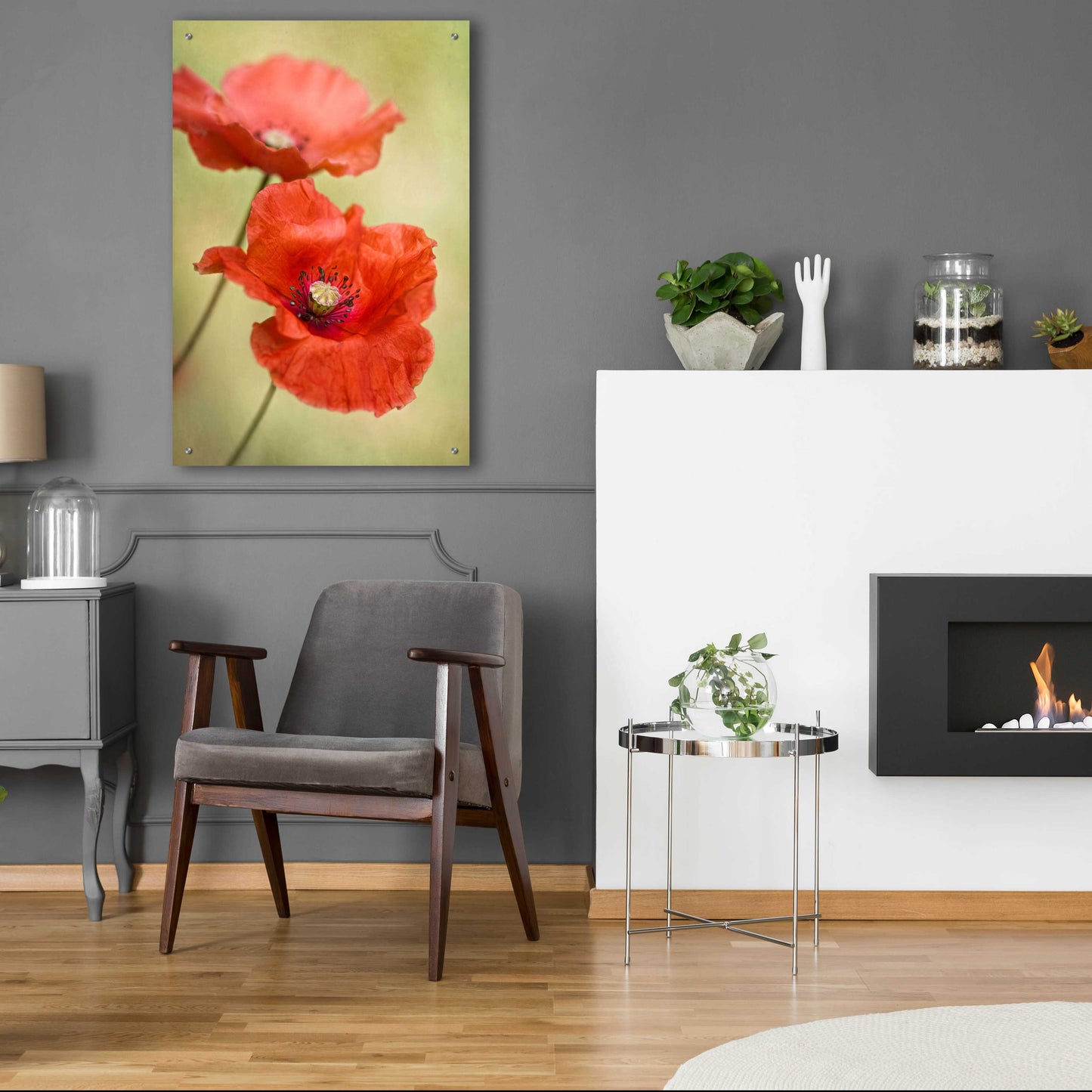 Epic Art 'Papaver Passion' by Mandy Disher, Acrylic Glass Wall Art,24x36