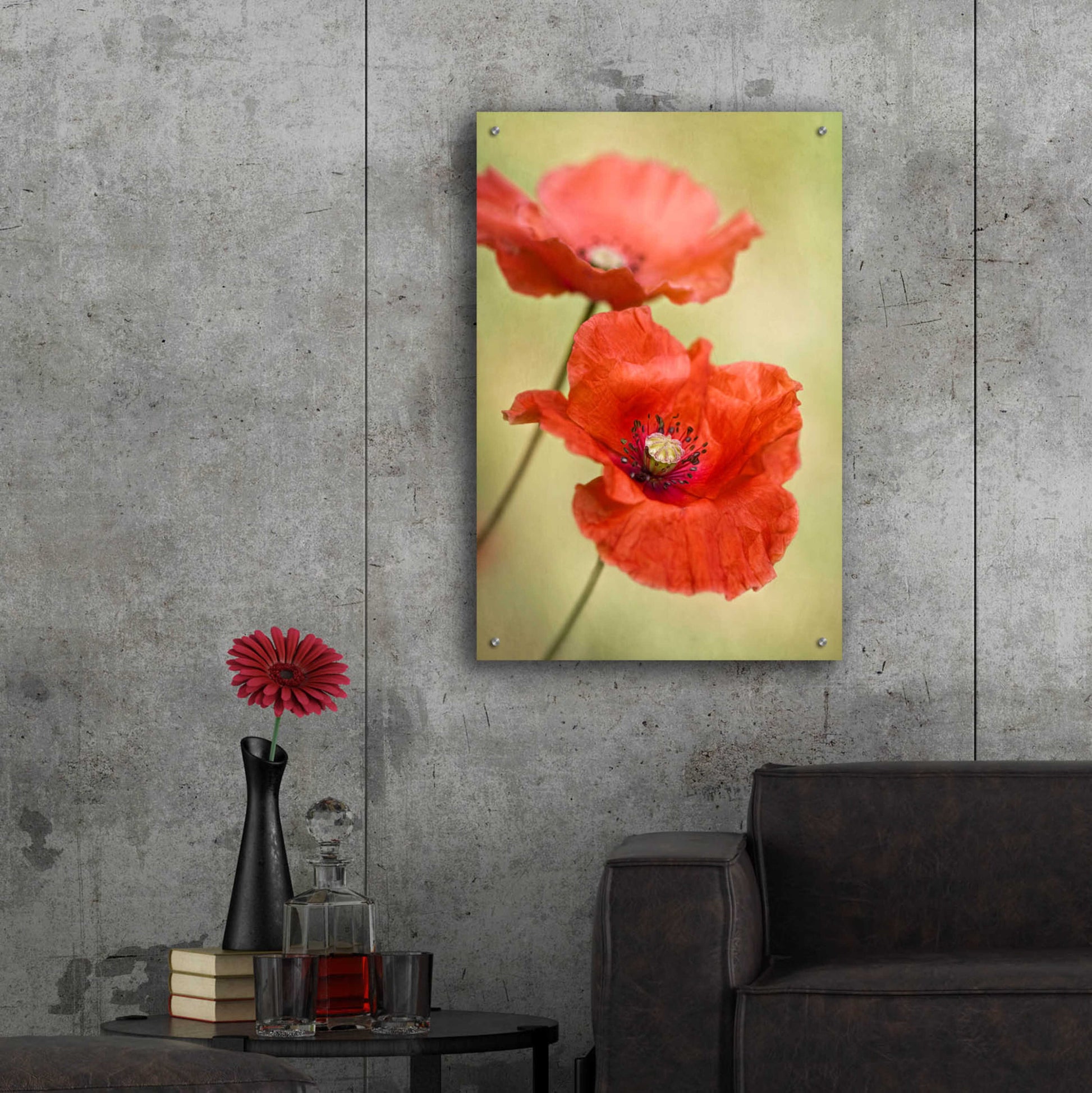 Epic Art 'Papaver Passion' by Mandy Disher, Acrylic Glass Wall Art,24x36