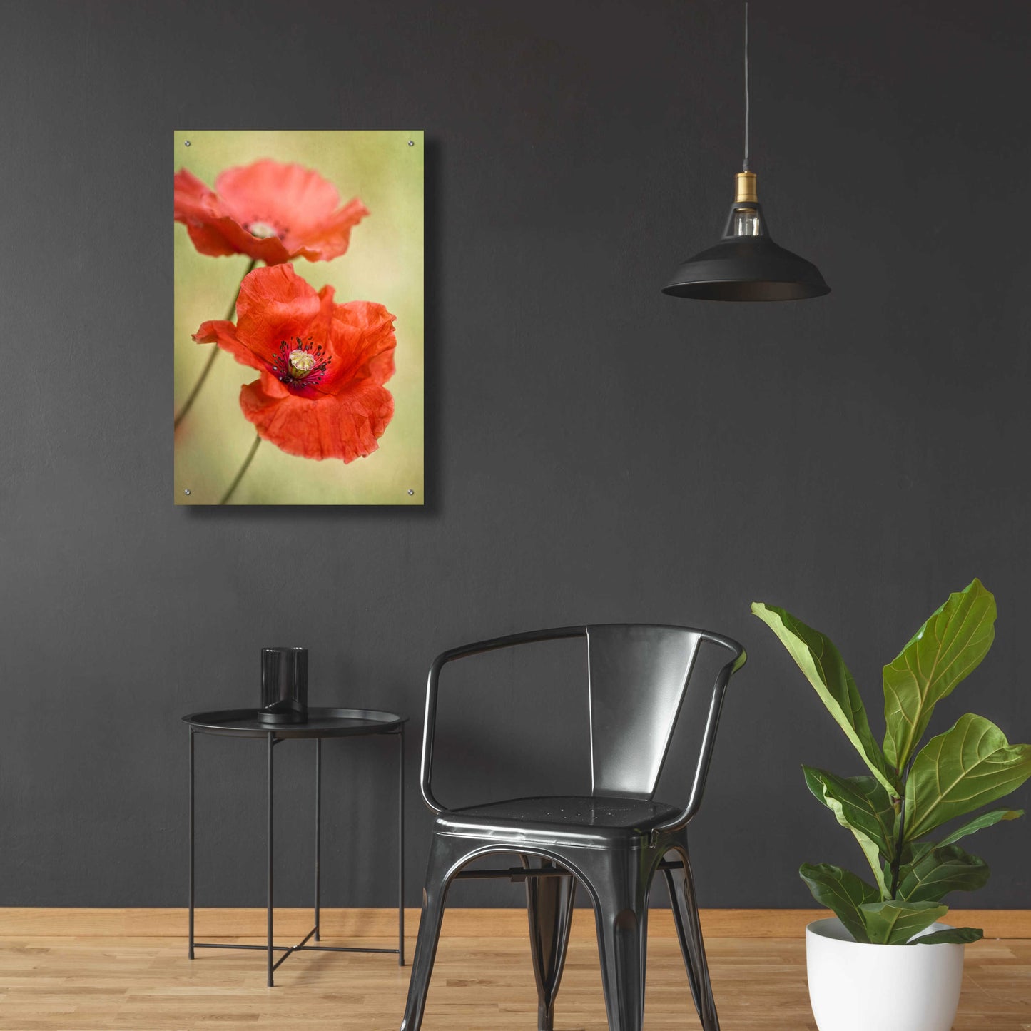 Epic Art 'Papaver Passion' by Mandy Disher, Acrylic Glass Wall Art,24x36