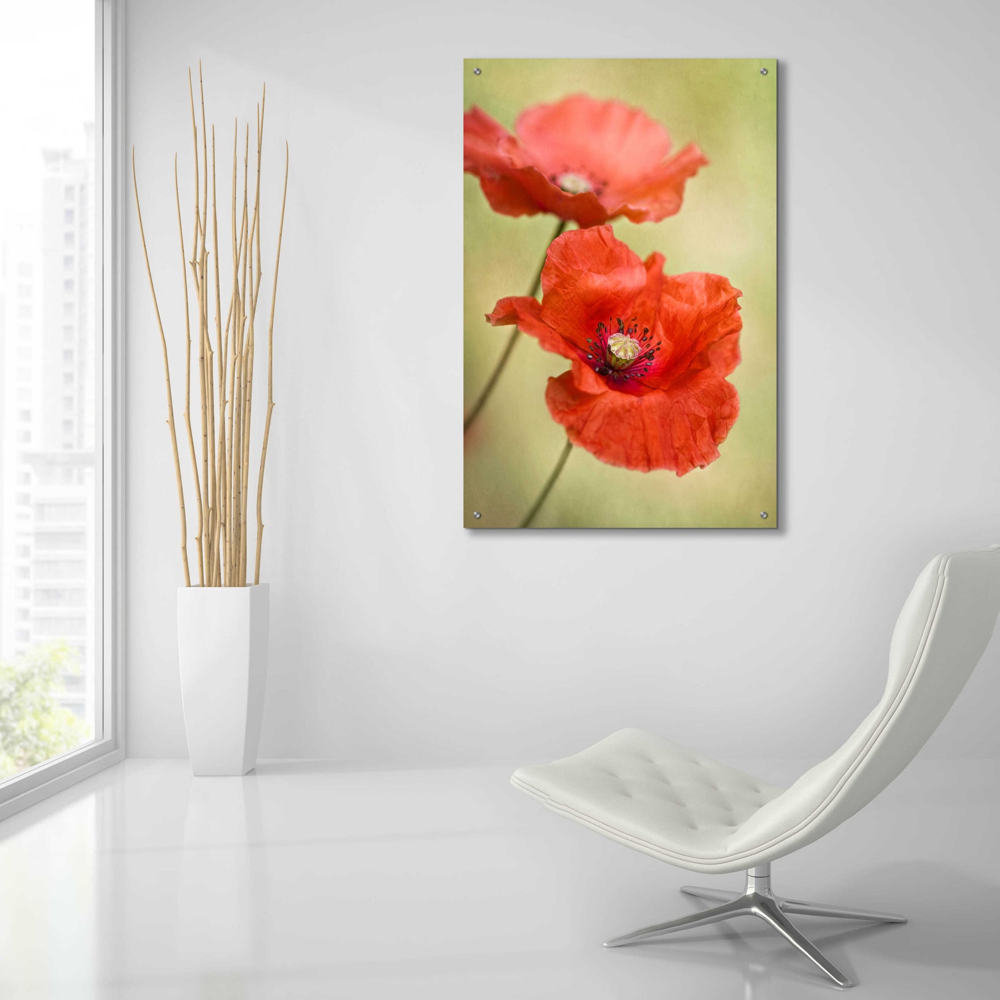 Epic Art 'Papaver Passion' by Mandy Disher, Acrylic Glass Wall Art,24x36