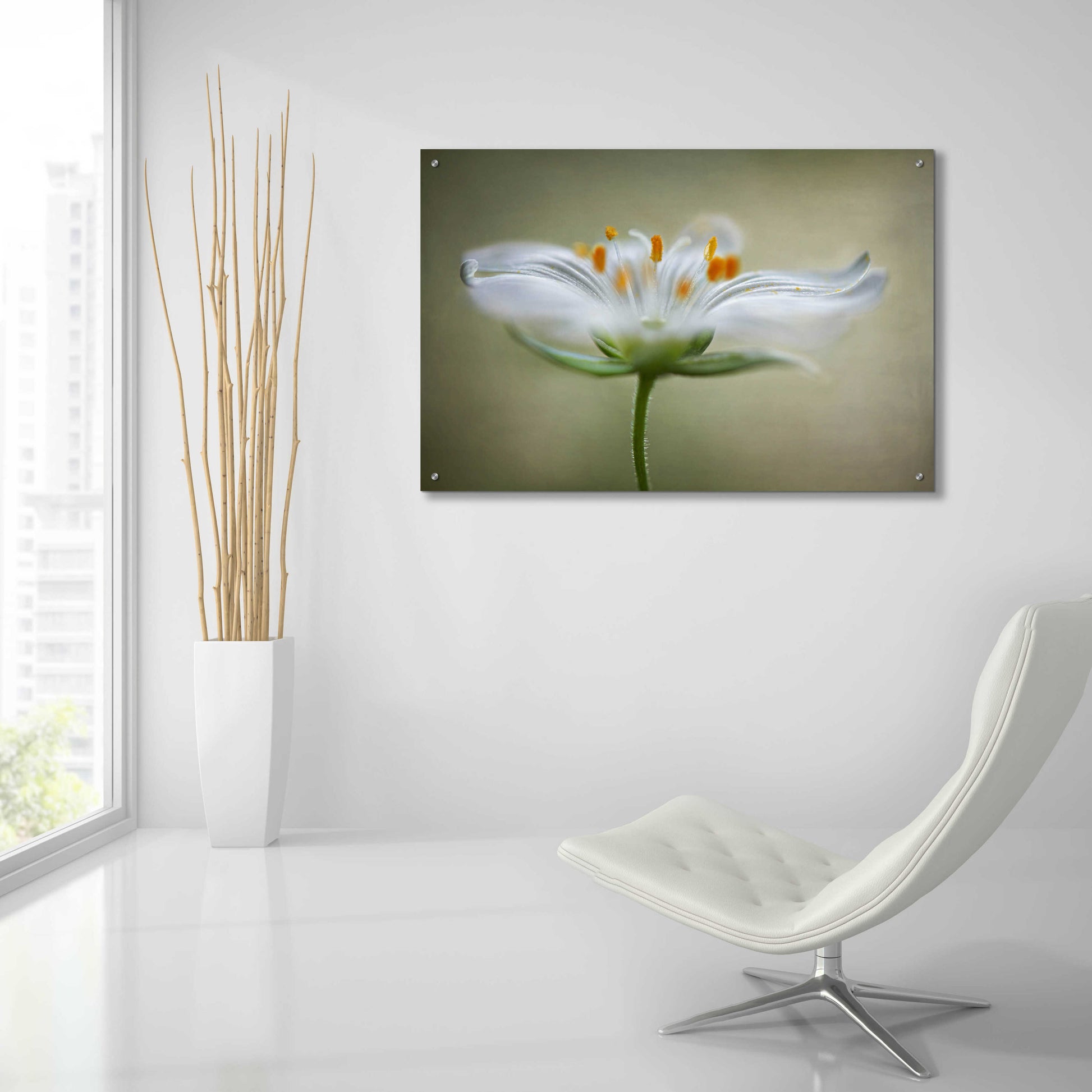 Epic Art 'Summer Swirl' by Mandy Disher, Acrylic Glass Wall Art,36x24