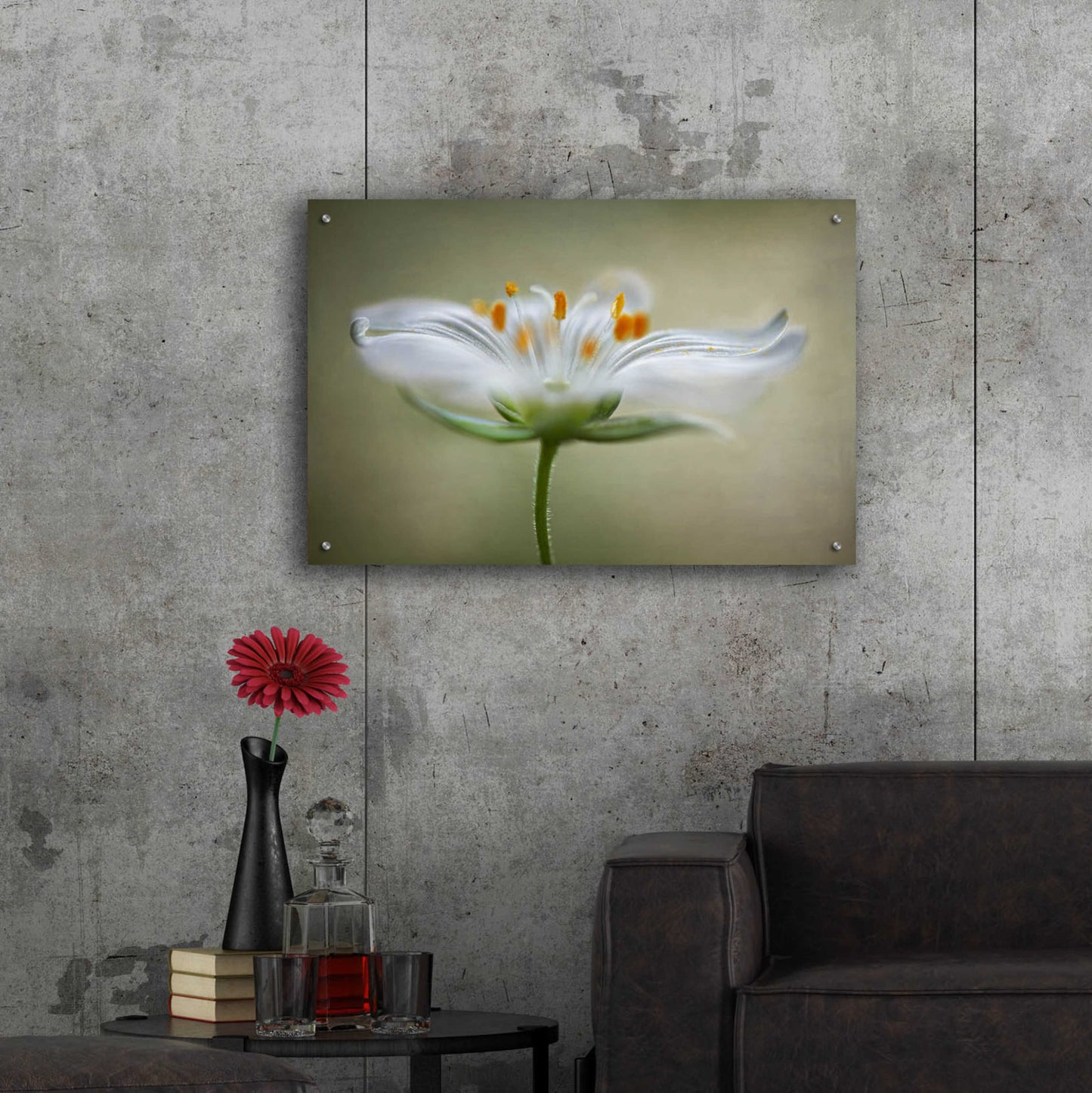 Epic Art 'Summer Swirl' by Mandy Disher, Acrylic Glass Wall Art,36x24