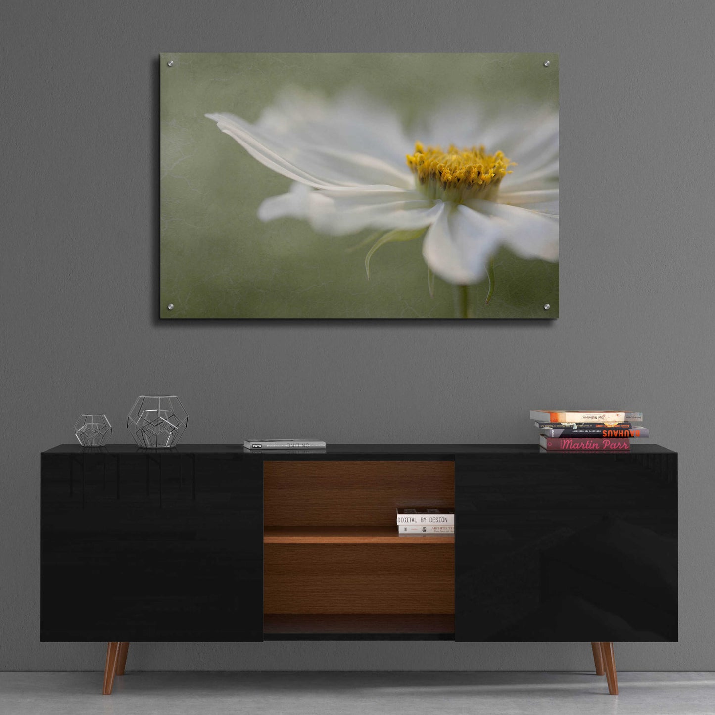 Epic Art 'Whisper' by Mandy Disher, Acrylic Glass Wall Art,36x24