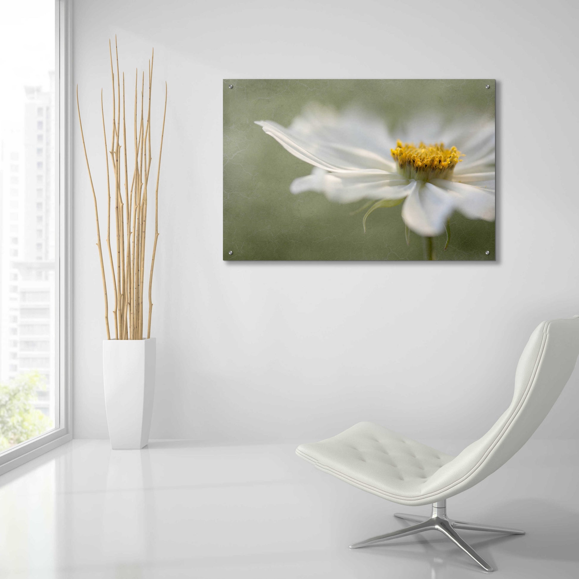 Epic Art 'Whisper' by Mandy Disher, Acrylic Glass Wall Art,36x24