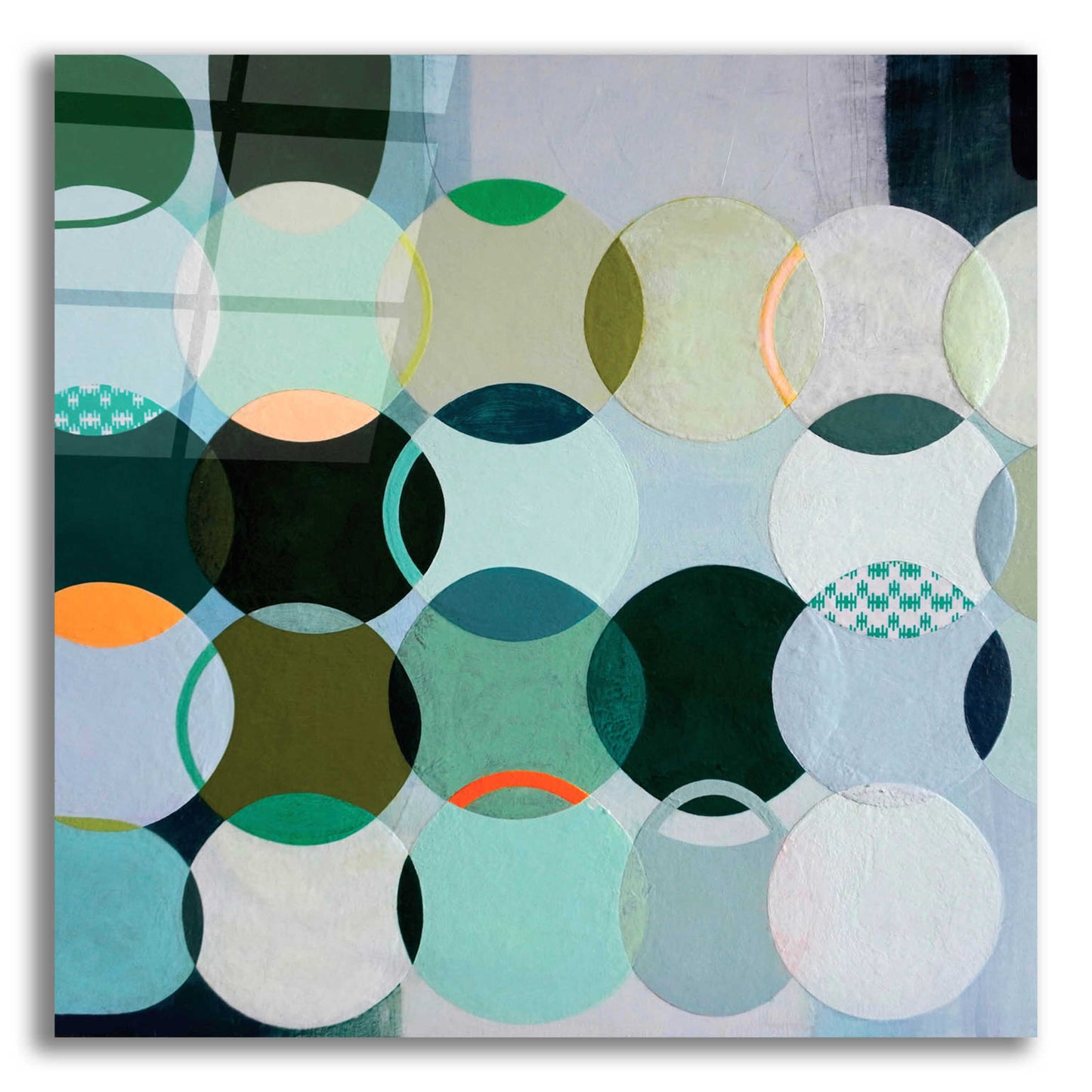 Epic Art 'Circles No. 2' by Naomi Taitz Duffy, Acrylic Glass Wall Art,12x12