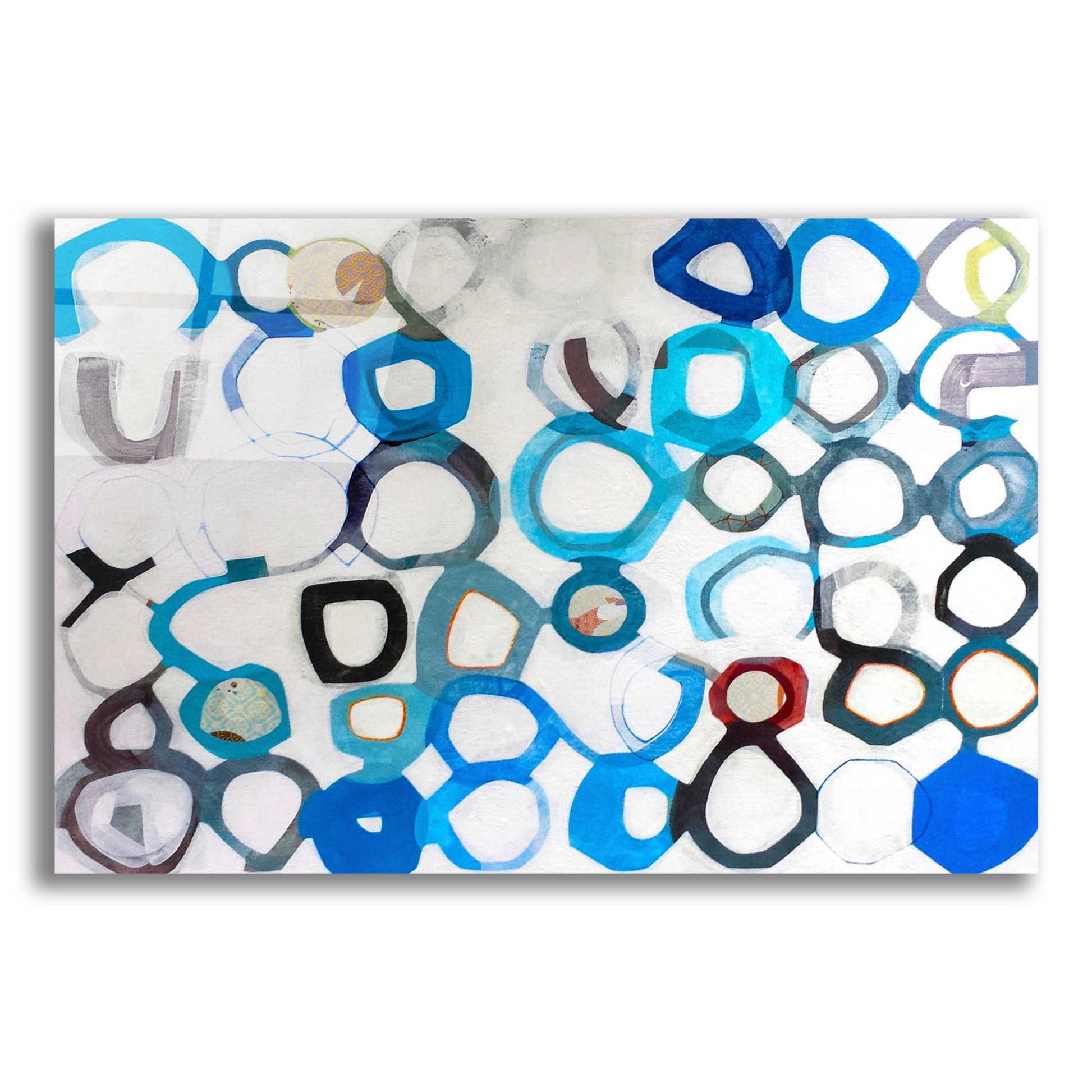 Epic Art 'Evolutions' by Naomi Taitz Duffy, Acrylic Glass Wall Art,16x12