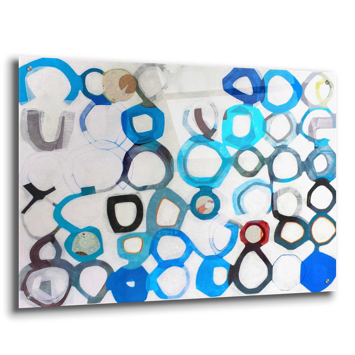 Epic Art 'Evolutions' by Naomi Taitz Duffy, Acrylic Glass Wall Art,36x24