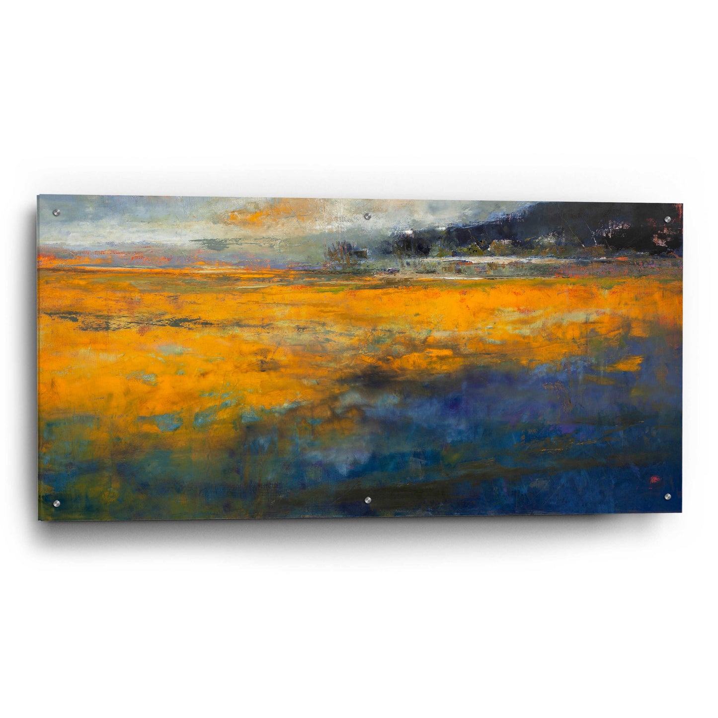 Epic Art 'Marshes' by Patrick Dennis, Acrylic Glass Wall Art,48x24