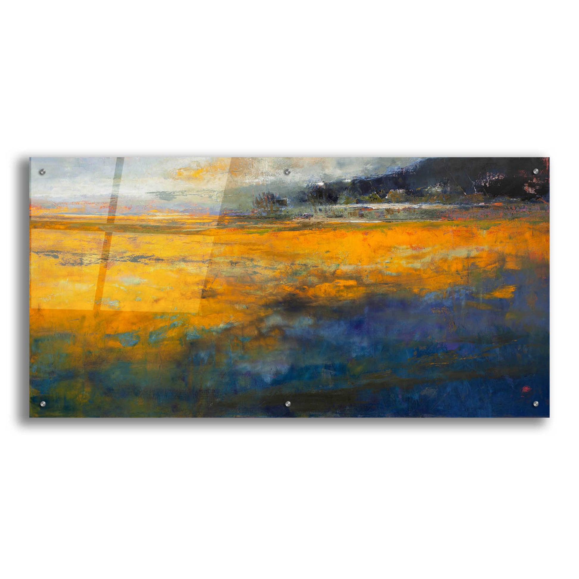 Epic Art 'Marshes' by Patrick Dennis, Acrylic Glass Wall Art,48x24