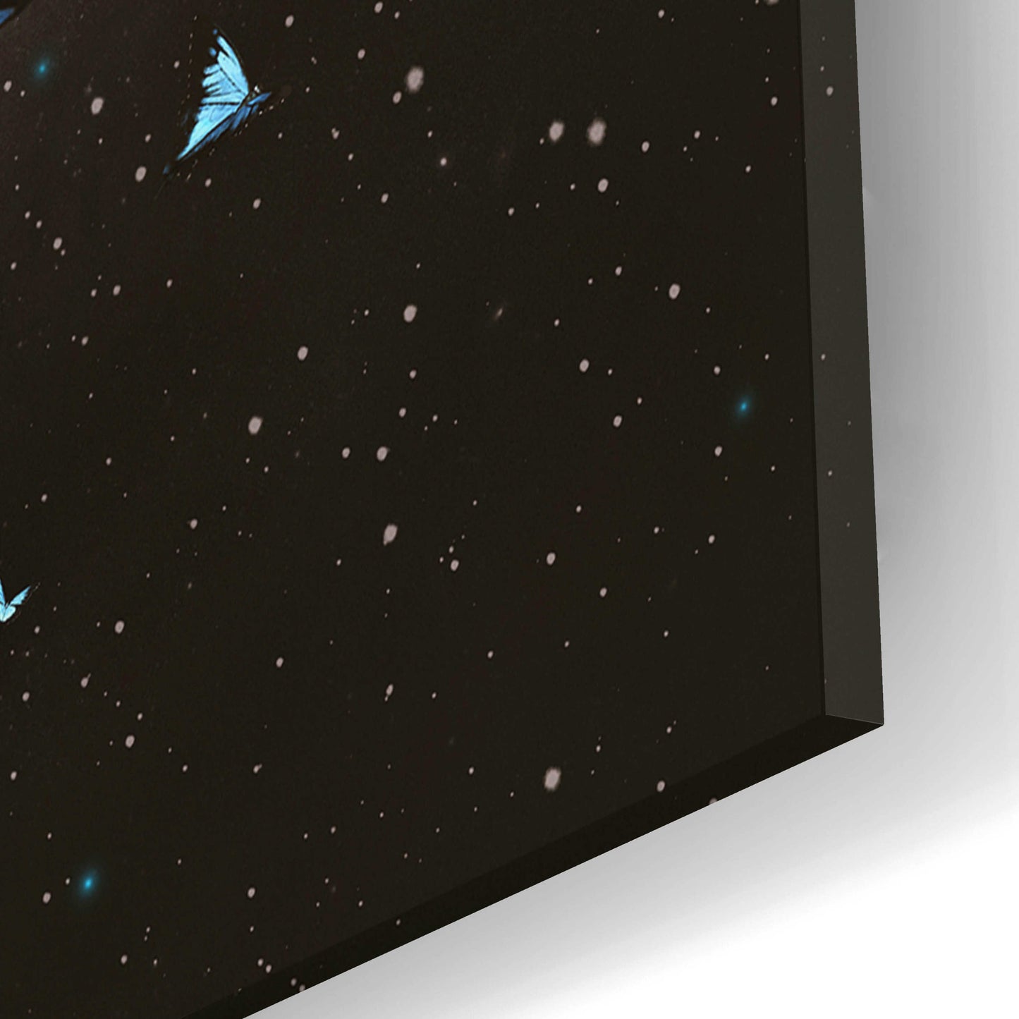 Epic Art 'Butterfly Galaxy' by Paula Belle Flores, Acrylic Glass Wall Art,12x12