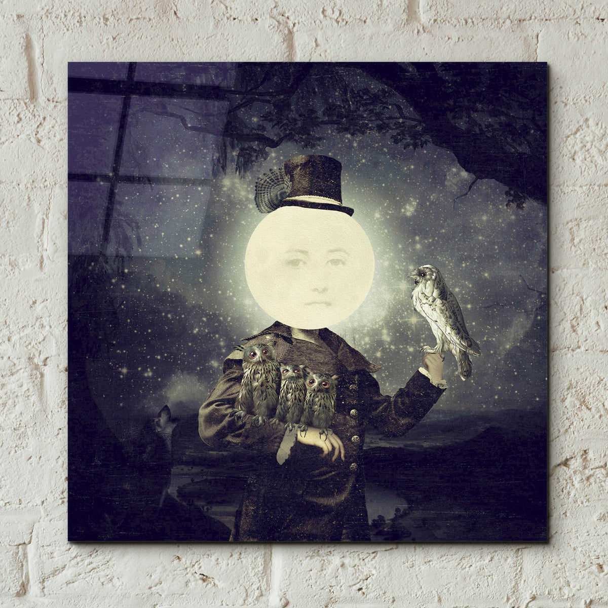 Epic Art 'Full Moon' by Paula Belle Flores, Acrylic Glass Wall Art,12x12
