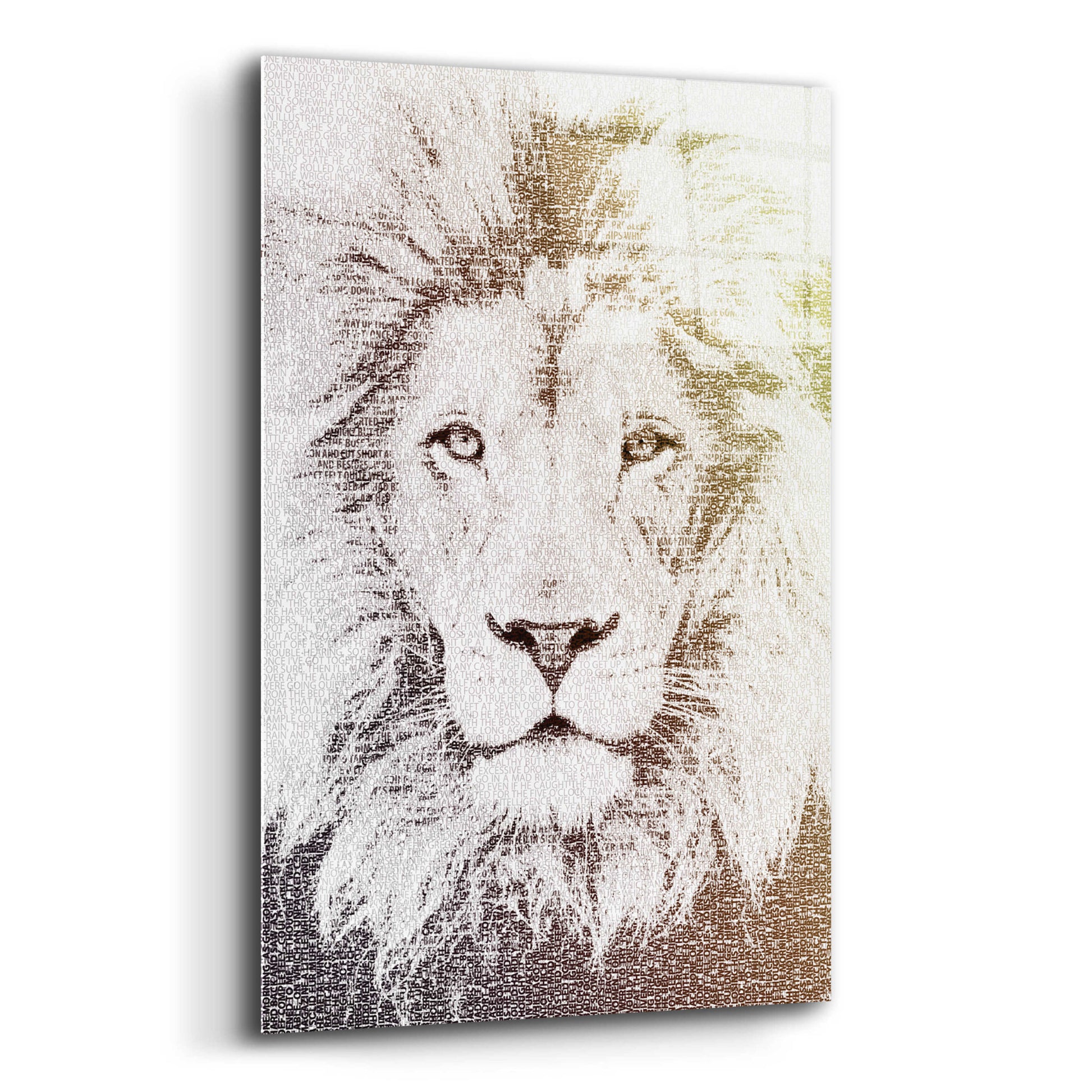 Epic Art 'Lion' by Paula Belle Flores, Acrylic Glass Wall Art,12x16