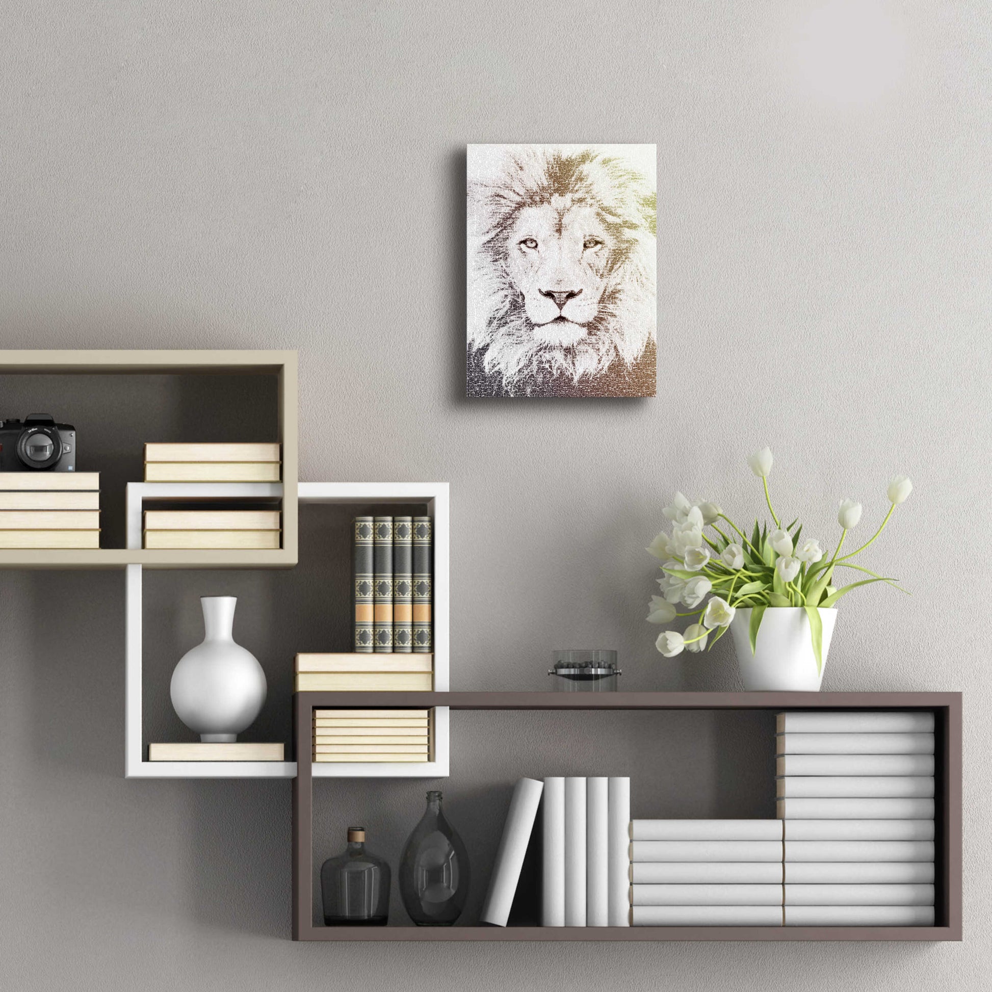 Epic Art 'Lion' by Paula Belle Flores, Acrylic Glass Wall Art,12x16