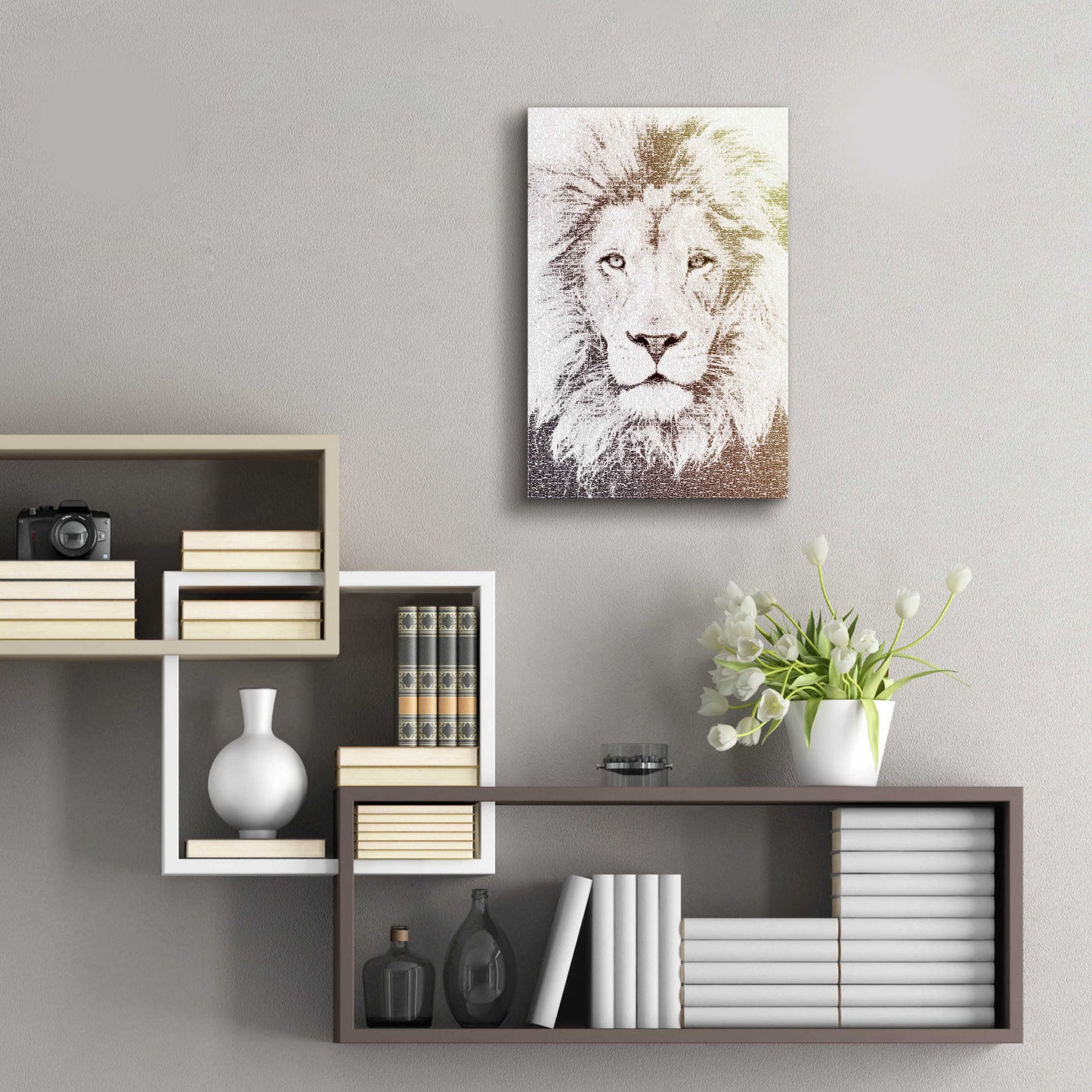 Epic Art 'Lion' by Paula Belle Flores, Acrylic Glass Wall Art,16x24