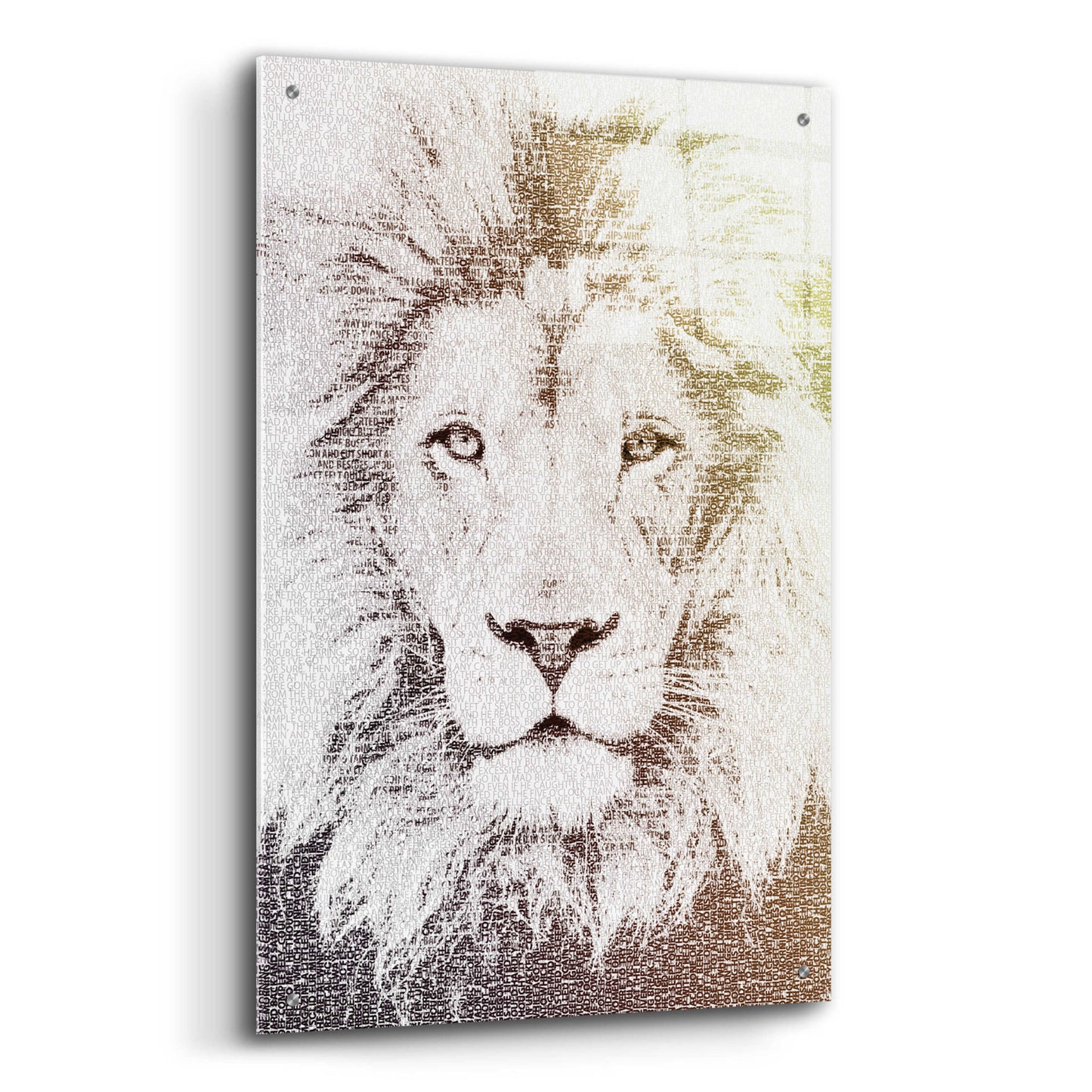 Epic Art 'Lion' by Paula Belle Flores, Acrylic Glass Wall Art,24x36