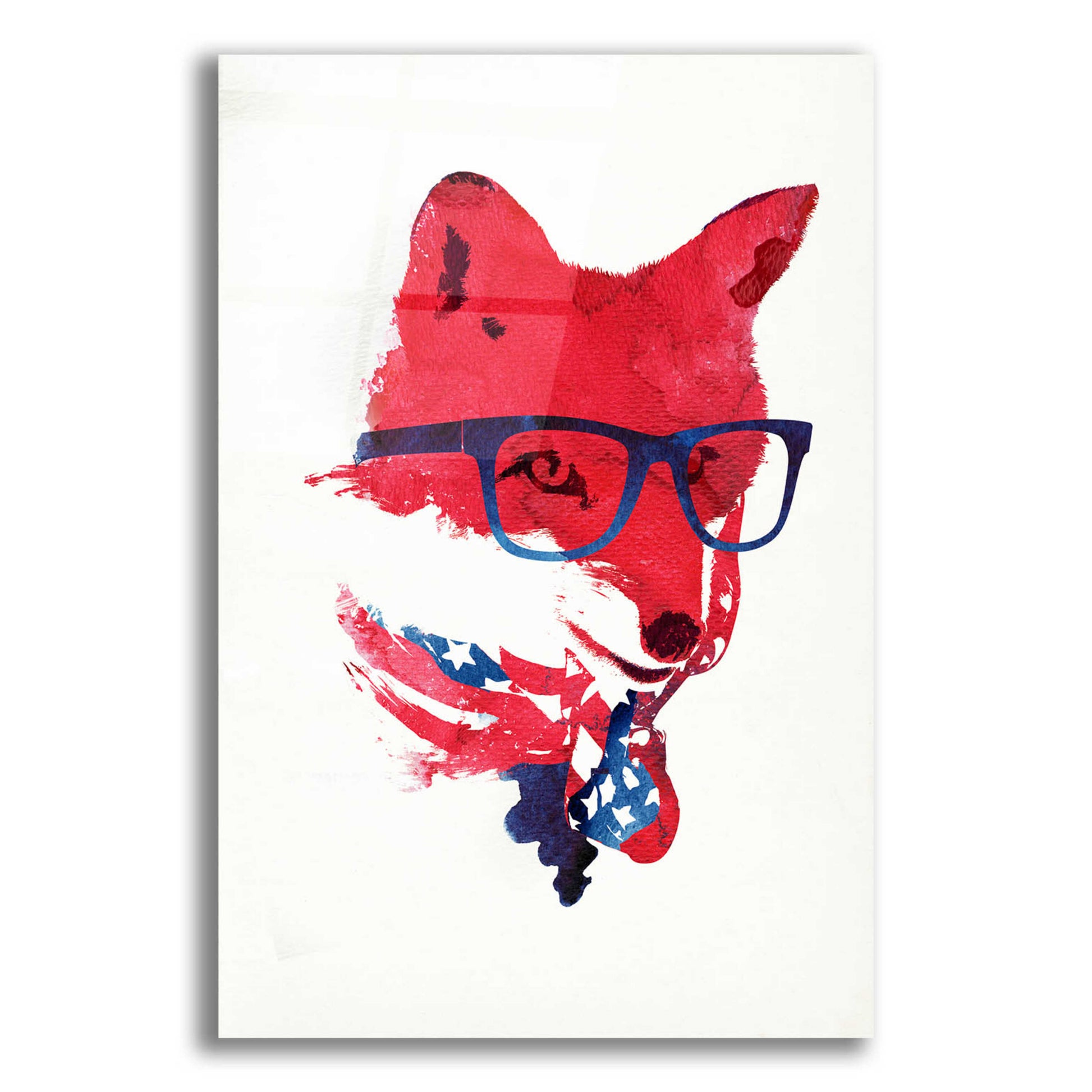 Epic Art 'American Fox' by Robert Farkas, Acrylic Glass Wall Art,12x16