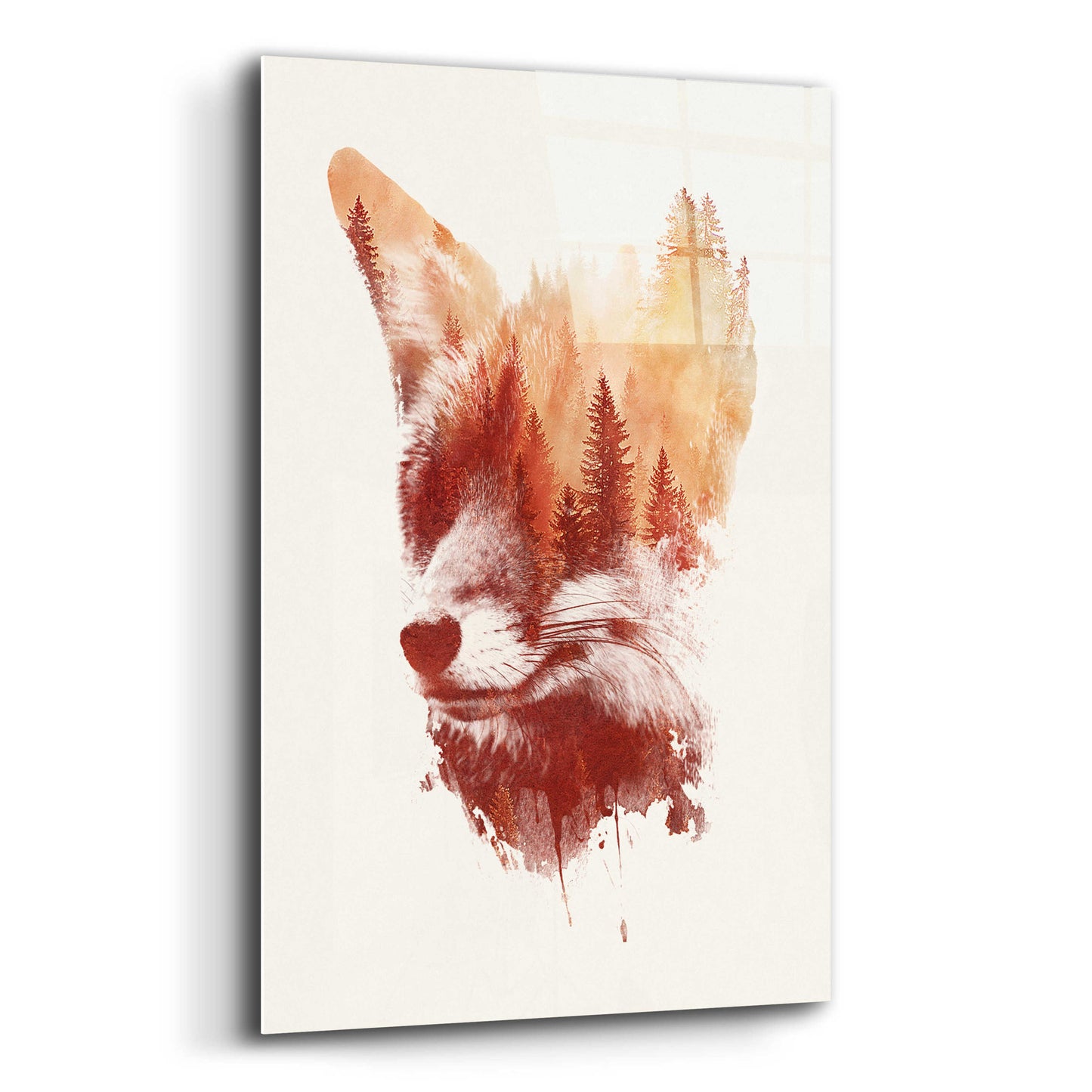 Epic Art 'Blind Fox' by Robert Farkas, Acrylic Glass Wall Art,12x16