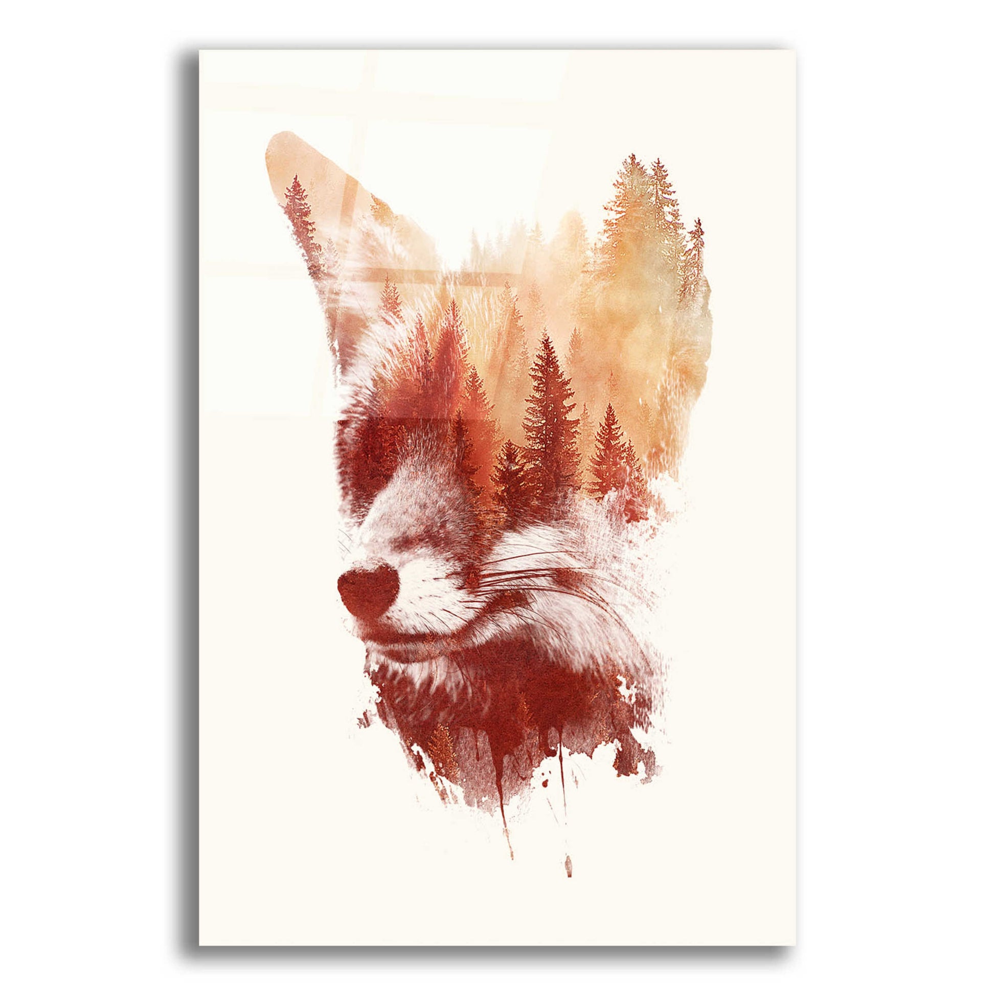 Epic Art 'Blind Fox' by Robert Farkas, Acrylic Glass Wall Art,12x16