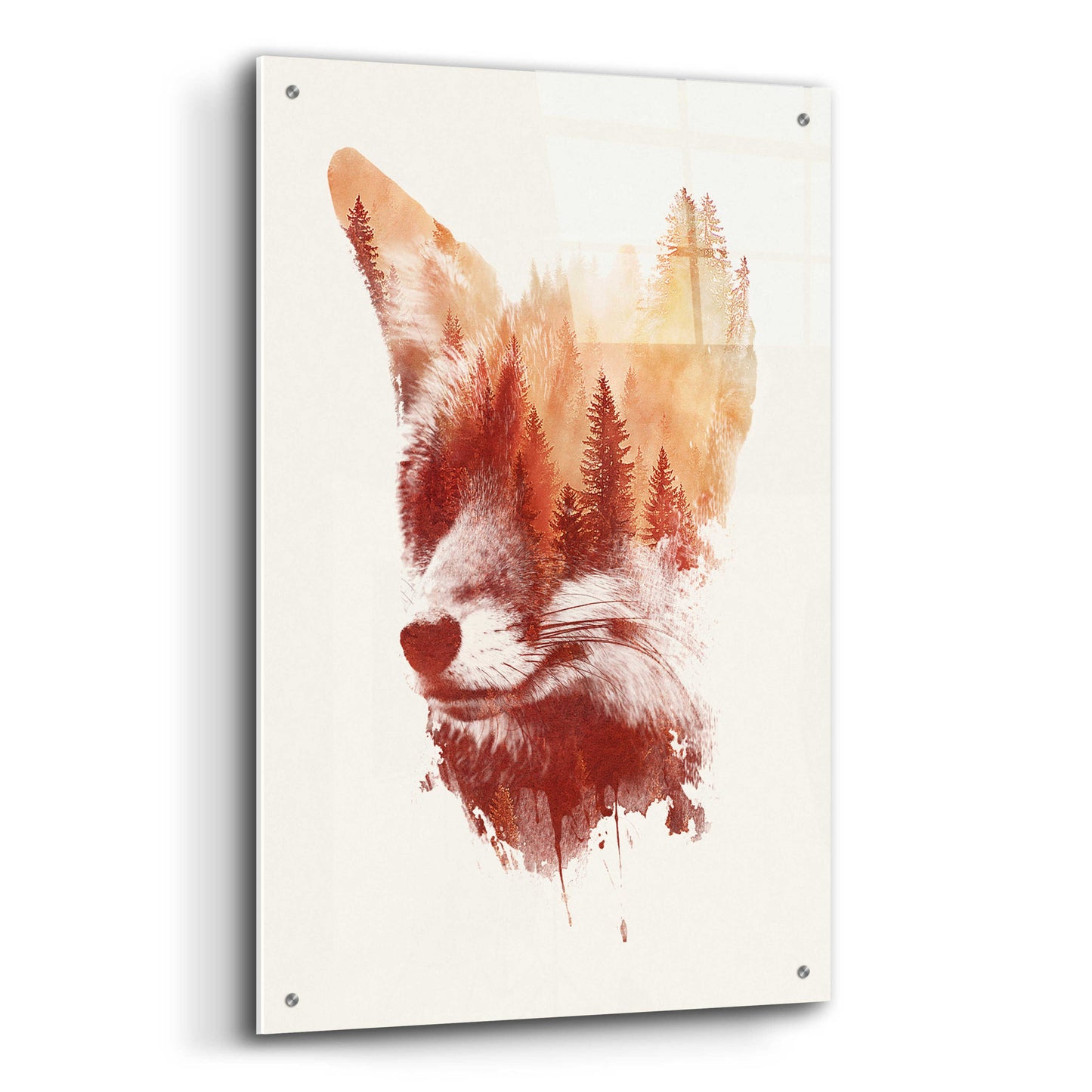 Epic Art 'Blind Fox' by Robert Farkas, Acrylic Glass Wall Art,24x36