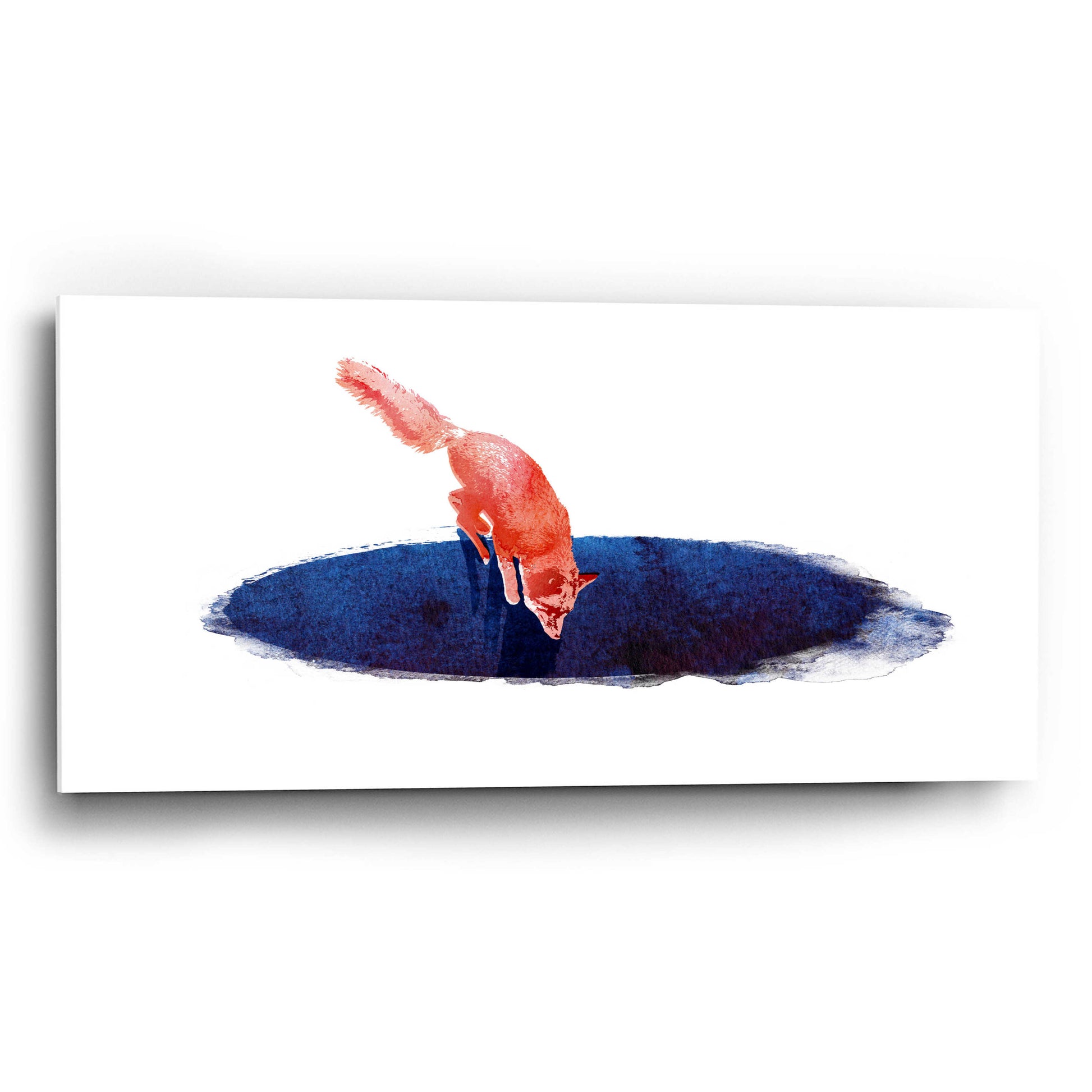 Epic Art 'Jump Into Nowhere' by Robert Farkas, Acrylic Glass Wall Art,24x12