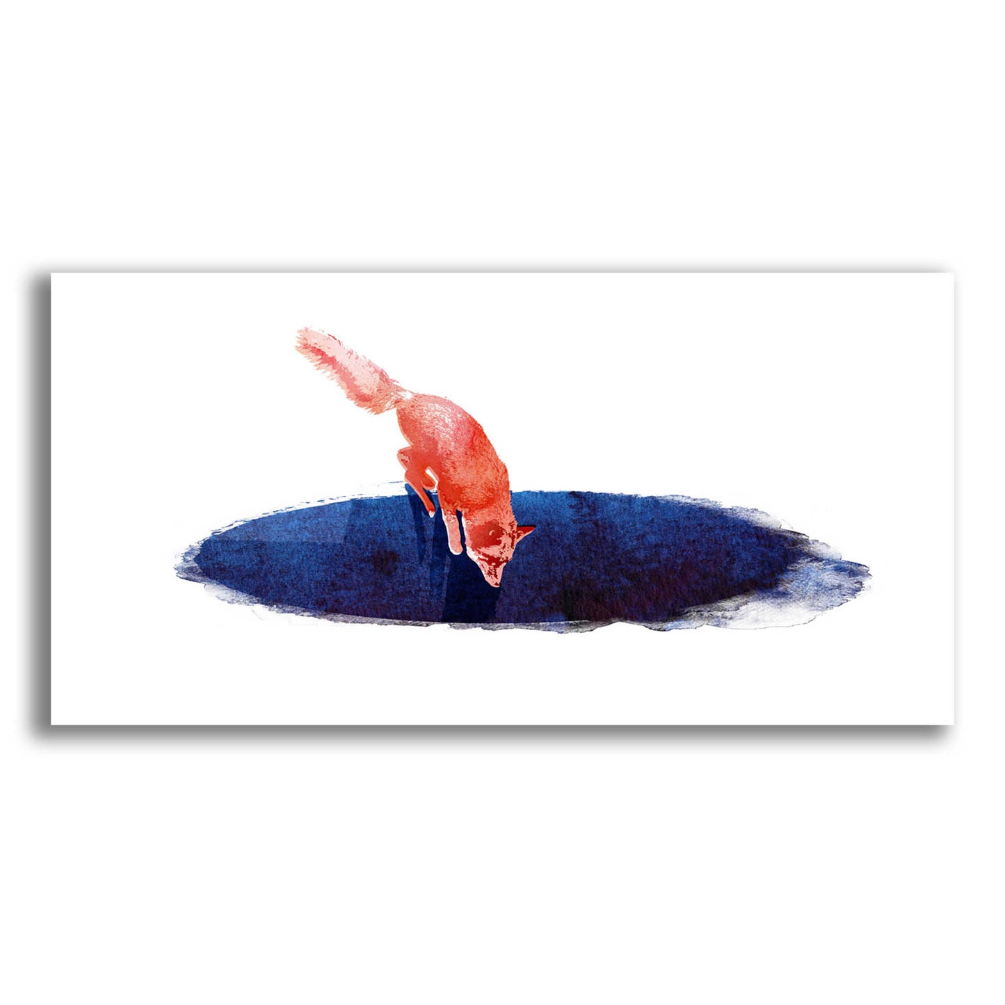 Epic Art 'Jump Into Nowhere' by Robert Farkas, Acrylic Glass Wall Art,24x12