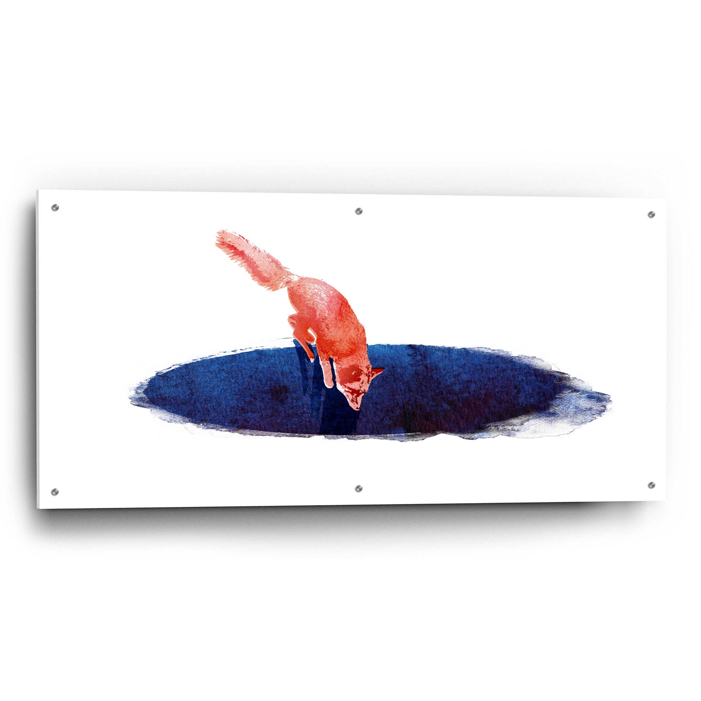 Epic Art 'Jump Into Nowhere' by Robert Farkas, Acrylic Glass Wall Art,48x24