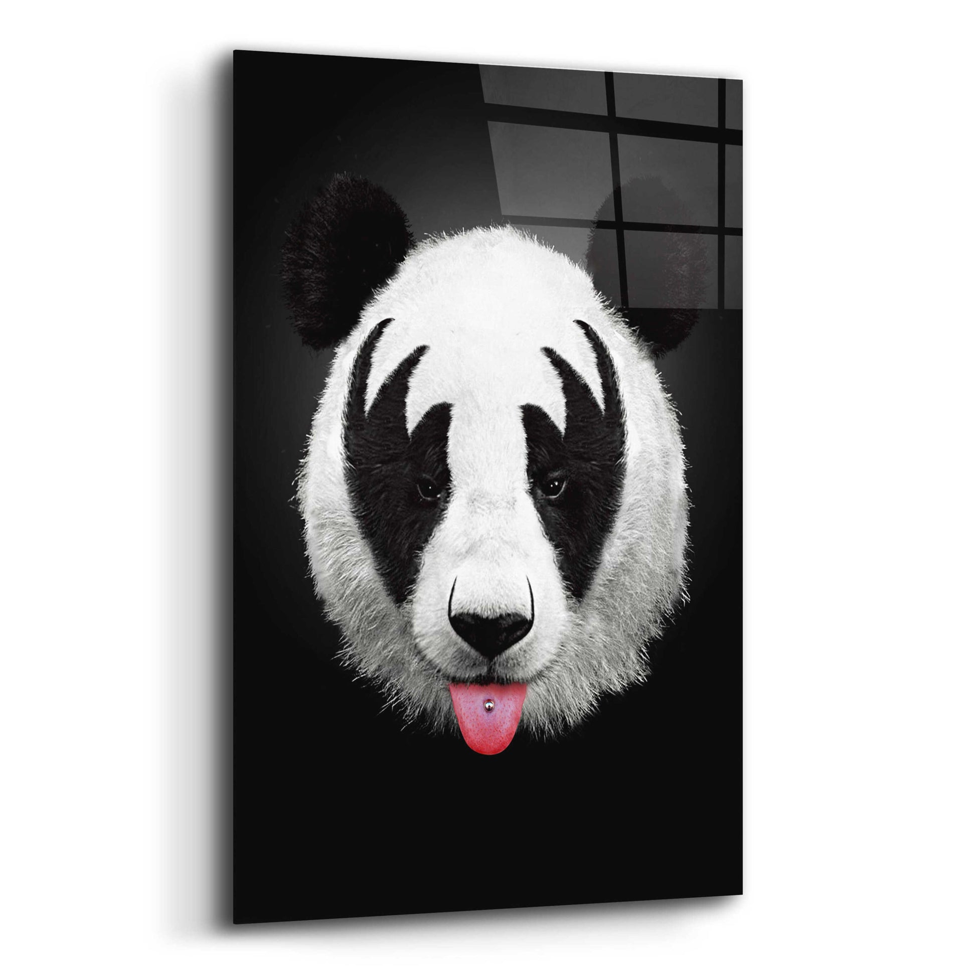 Epic Art 'Panda Rocks' by Robert Farkas, Acrylic Glass Wall Art,12x16