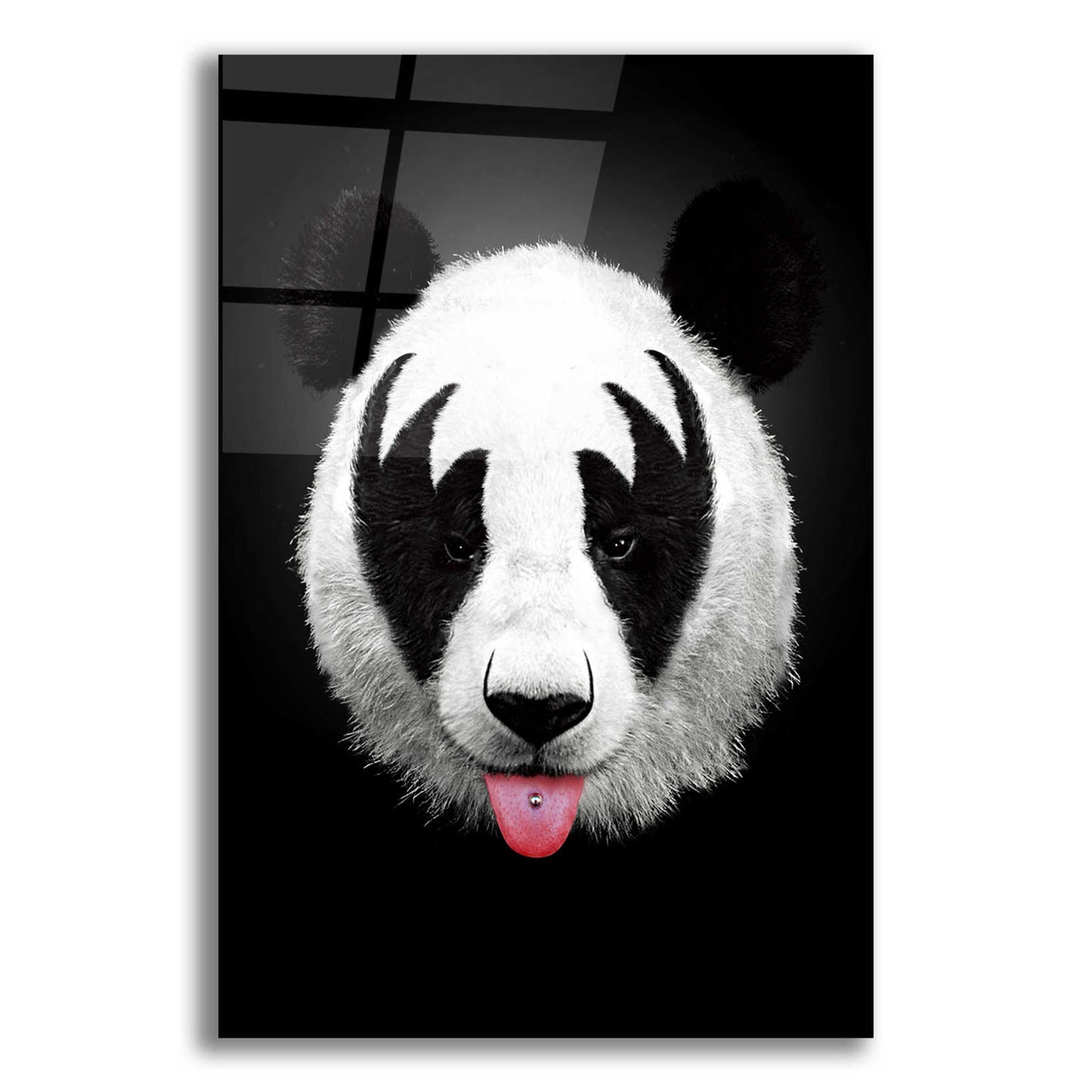 Epic Art 'Panda Rocks' by Robert Farkas, Acrylic Glass Wall Art,12x16