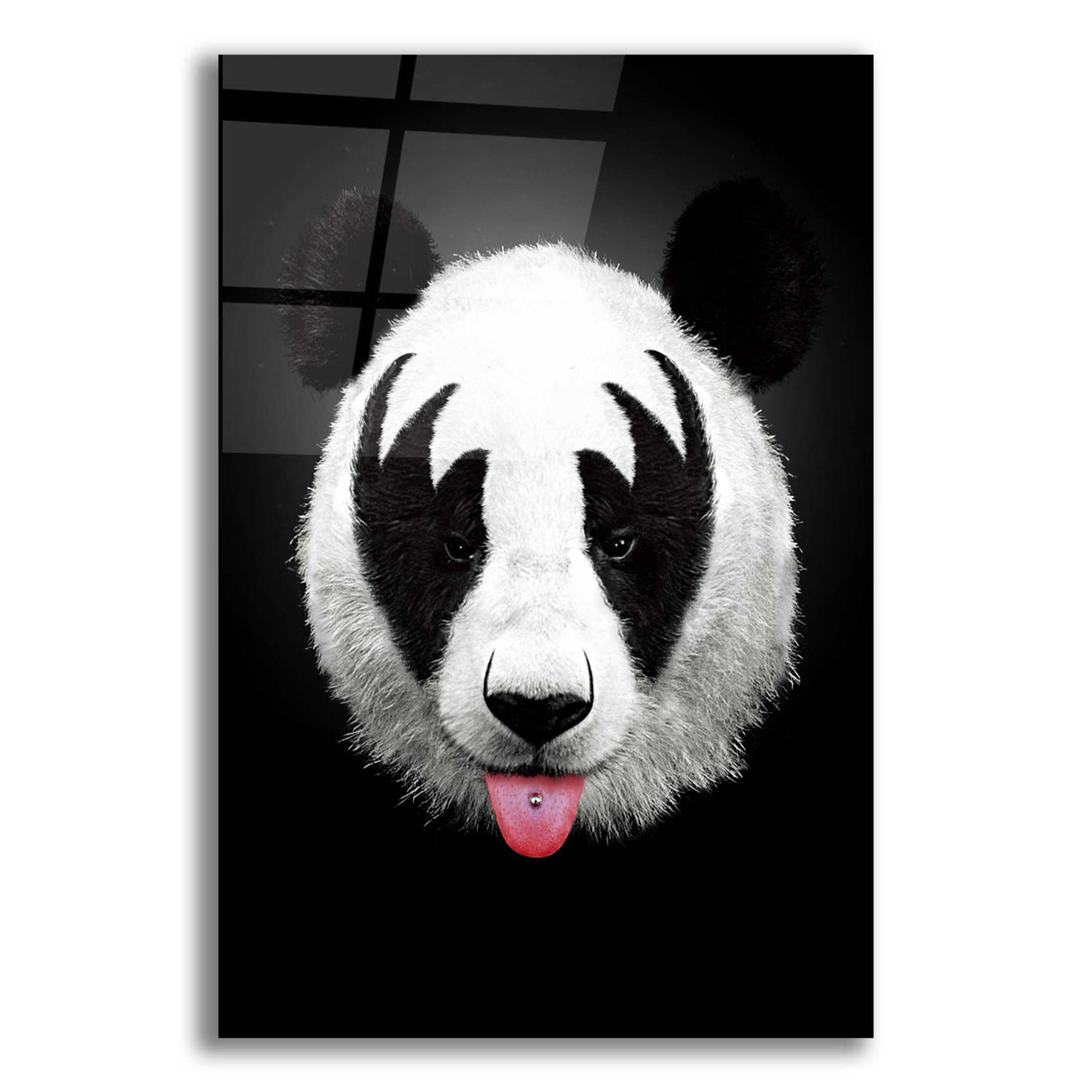 Epic Art 'Panda Rocks' by Robert Farkas, Acrylic Glass Wall Art,16x24