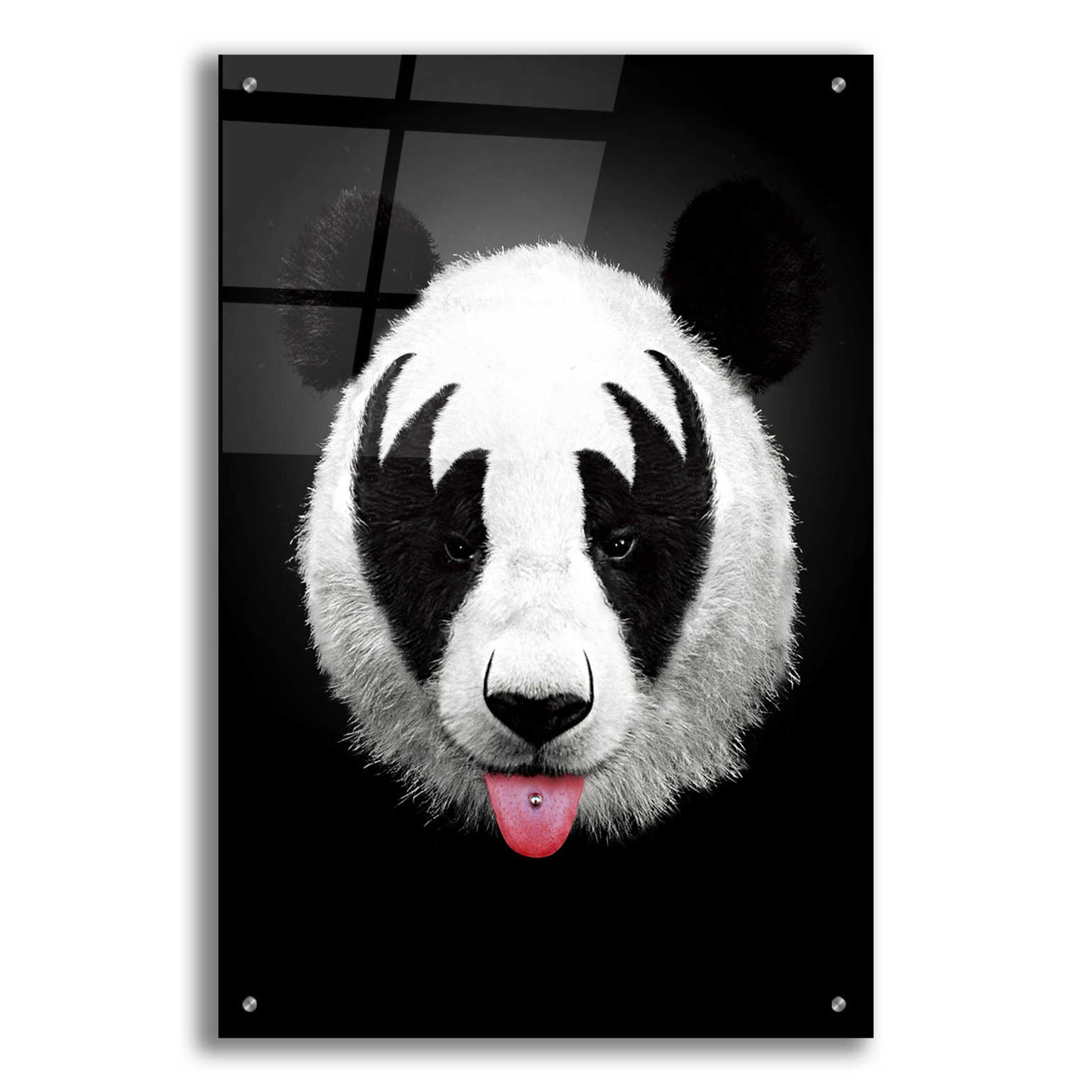 Epic Art 'Panda Rocks' by Robert Farkas, Acrylic Glass Wall Art,24x36