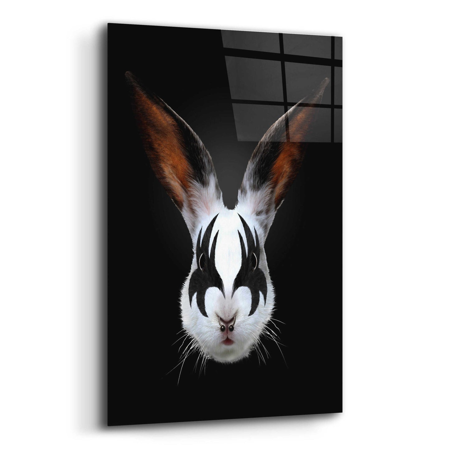 Epic Art 'Rabbit Rocks' by Robert Farkas, Acrylic Glass Wall Art,12x16