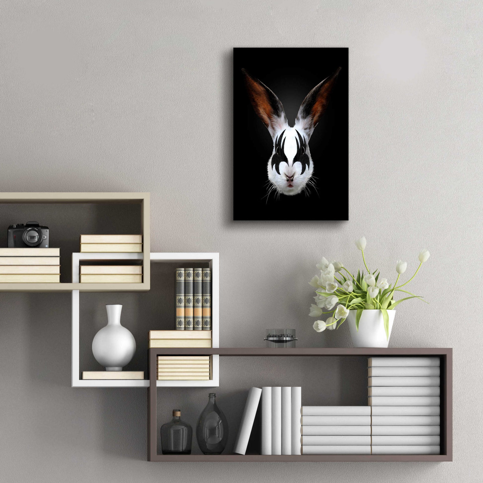 Epic Art 'Rabbit Rocks' by Robert Farkas, Acrylic Glass Wall Art,16x24