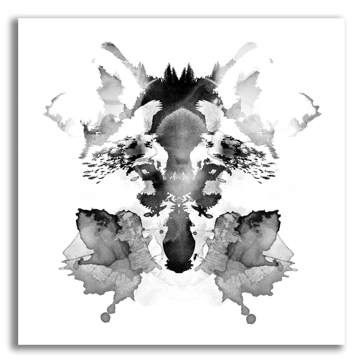 Epic Art 'Rorscach' by Robert Farkas, Acrylic Glass Wall Art,12x12