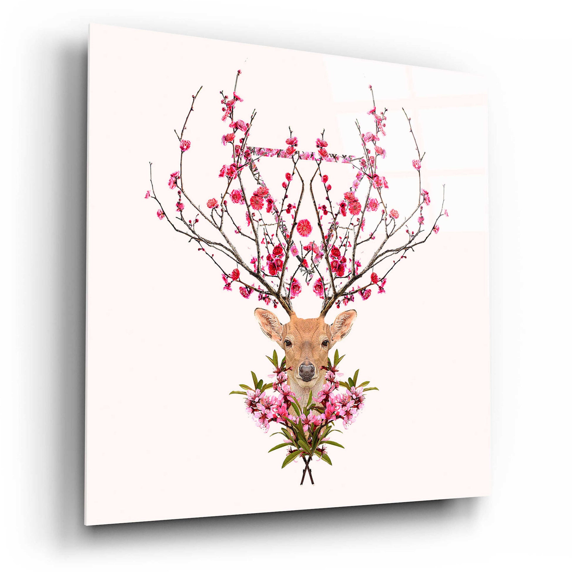 Epic Art 'Spring Deer' by Robert Farkas, Acrylic Glass Wall Art,12x12