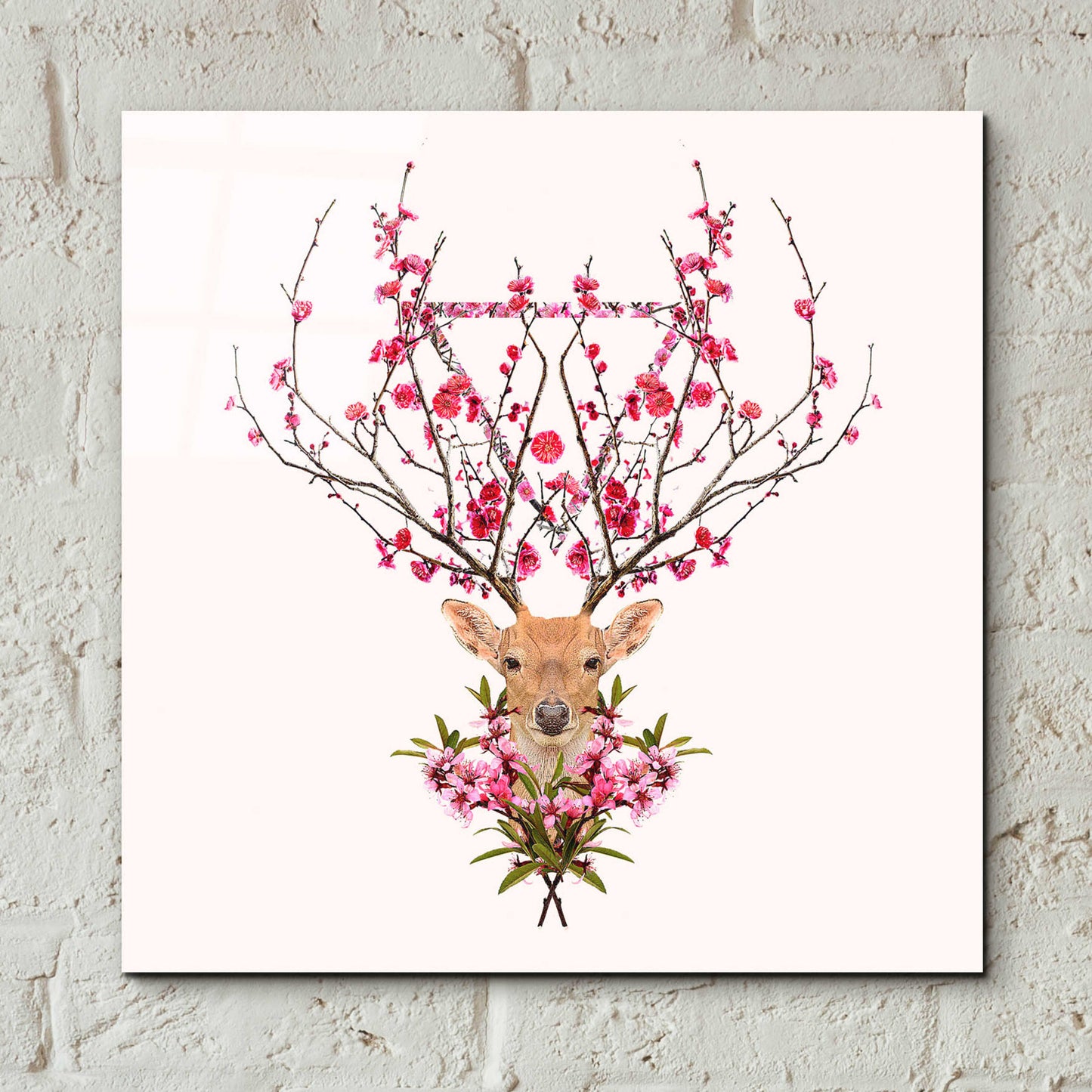 Epic Art 'Spring Deer' by Robert Farkas, Acrylic Glass Wall Art,12x12