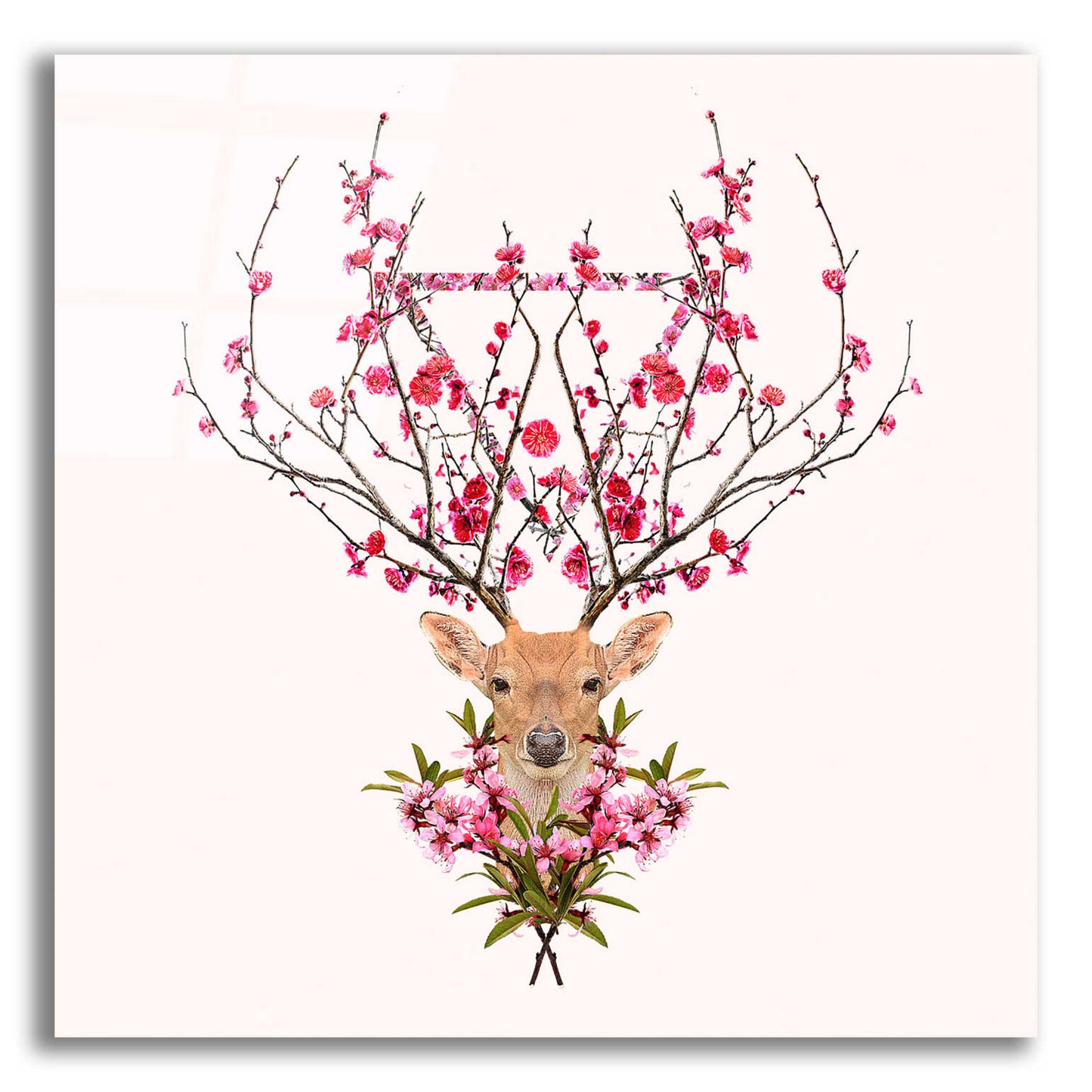 Epic Art 'Spring Deer' by Robert Farkas, Acrylic Glass Wall Art,12x12