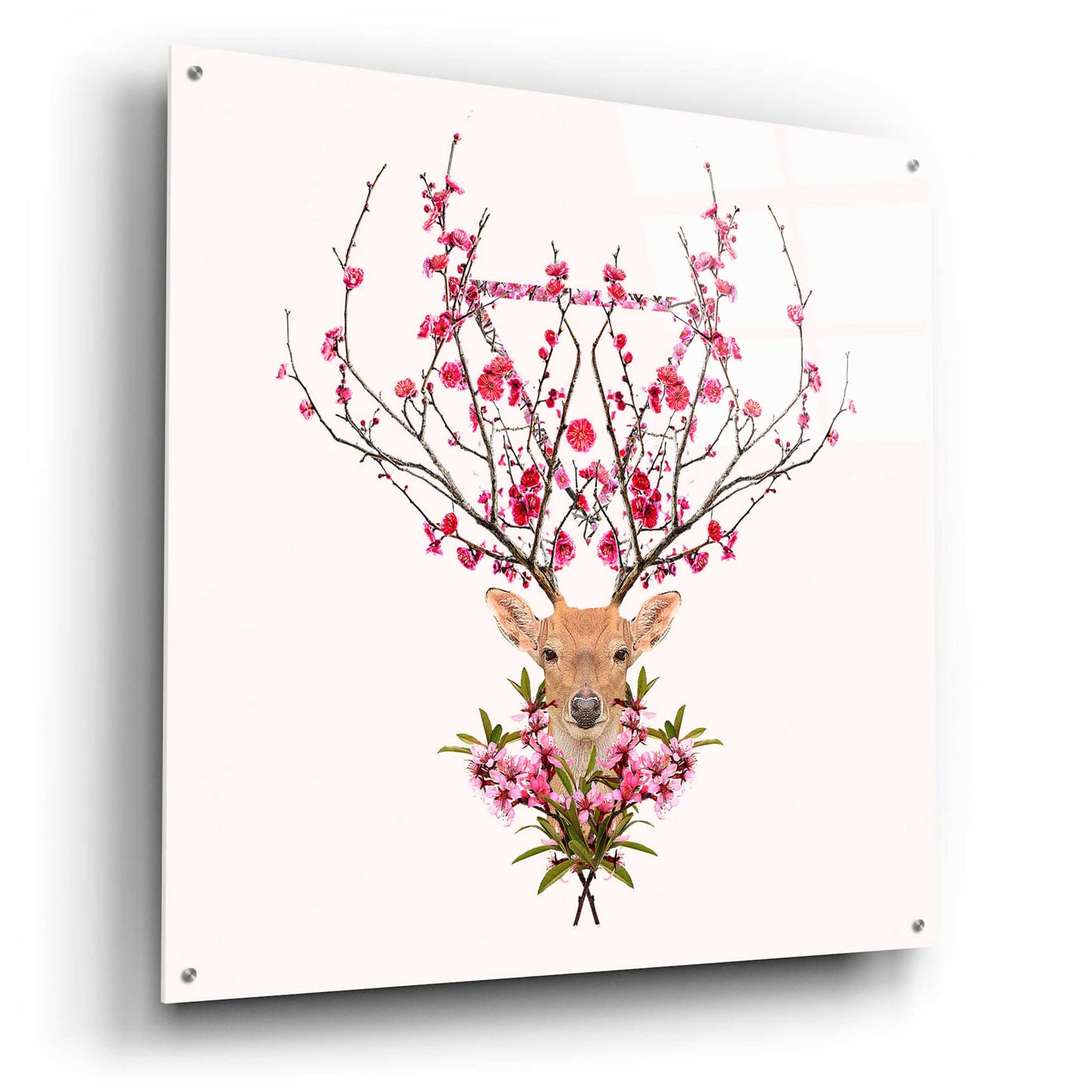 Epic Art 'Spring Deer' by Robert Farkas, Acrylic Glass Wall Art,36x36