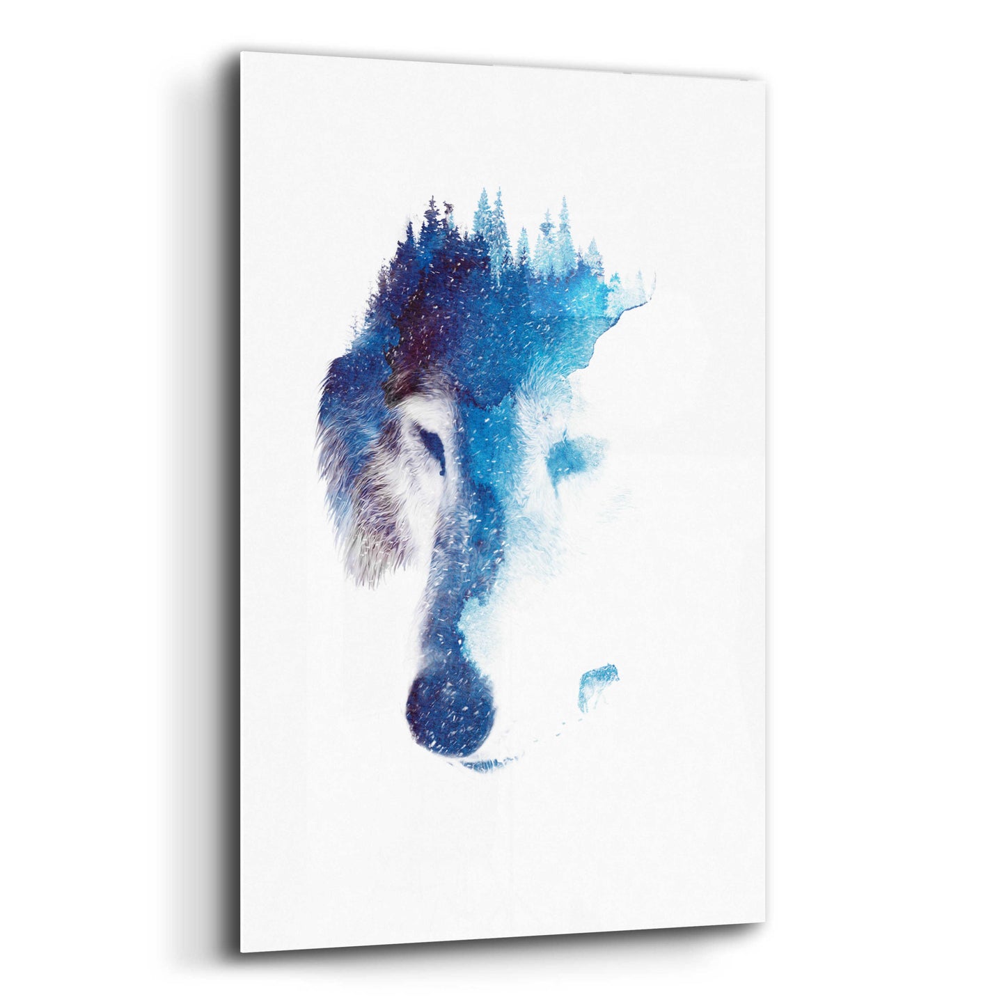 Epic Art 'Through Many Storms' by Robert Farkas, Acrylic Glass Wall Art,12x16