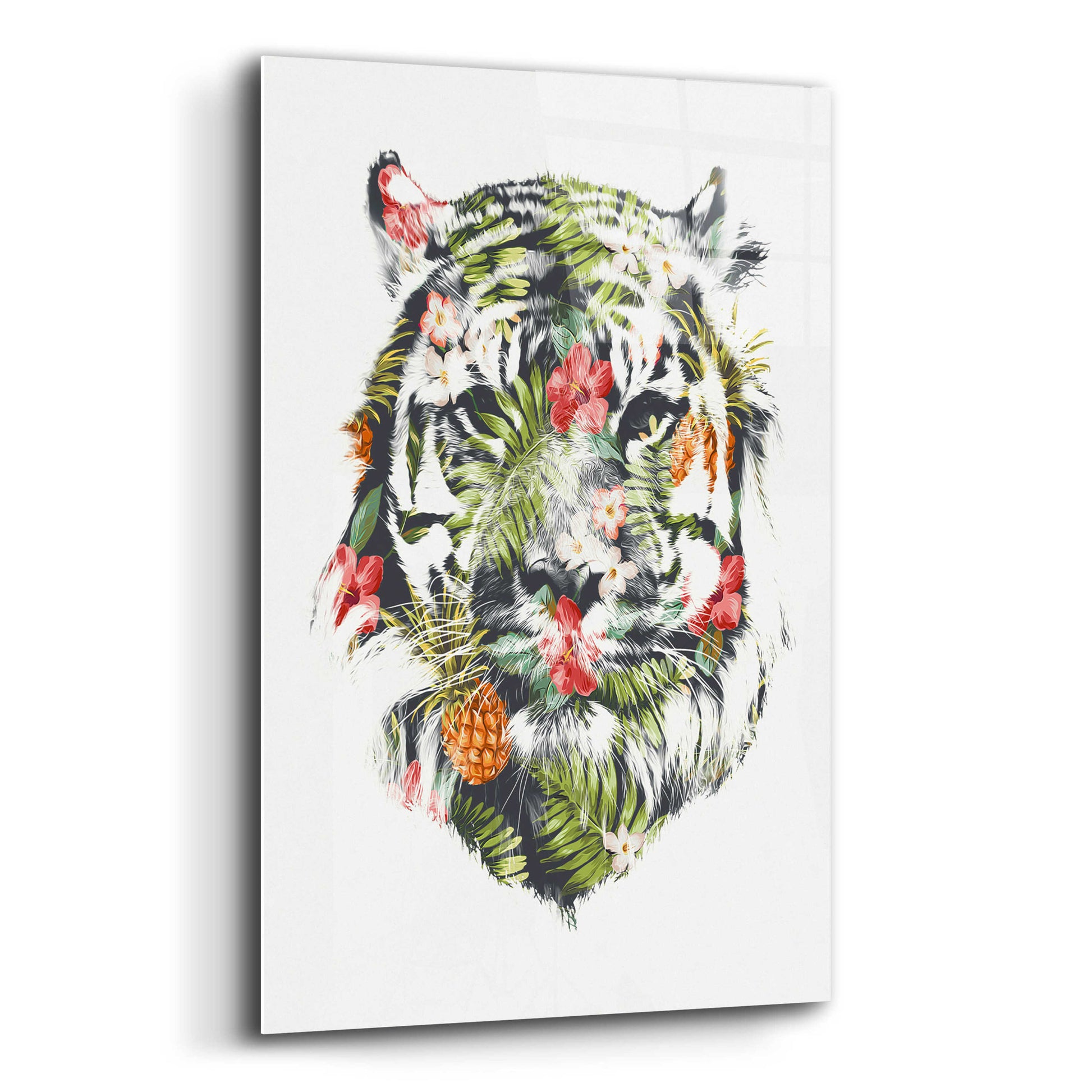 Epic Art 'Tropical Tiger' by Robert Farkas, Acrylic Glass Wall Art,12x16